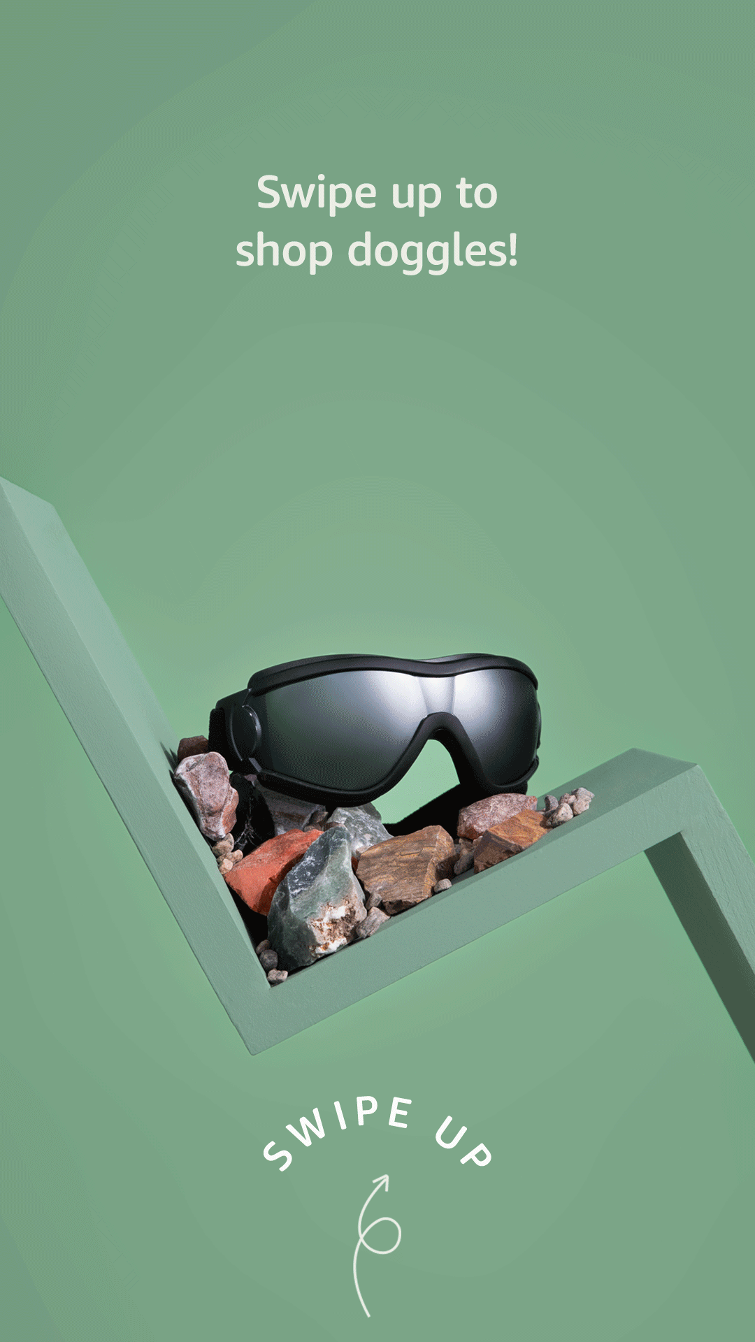 201118_AMZP_AdventureDog_IGS.gif