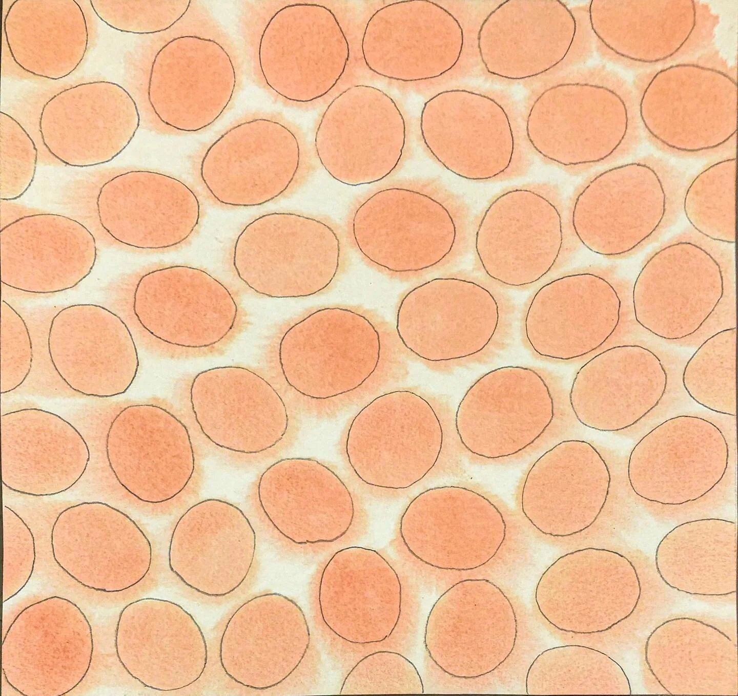 Circles. Watercolors. 2010. 

All paintings are for sale, please message me if you are interested in a painting, thank you!

#abstractart #abstract #abstractpainting #abstractartist #abstraction #africanamericanart #africanamericanartist #watercolor 