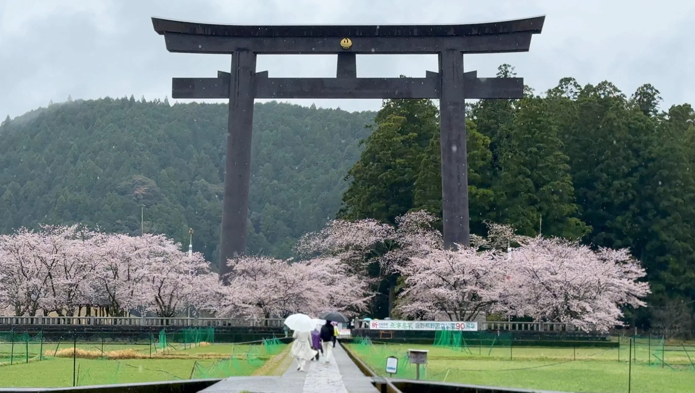 Kumano Kodo Nakahechi Route Guide