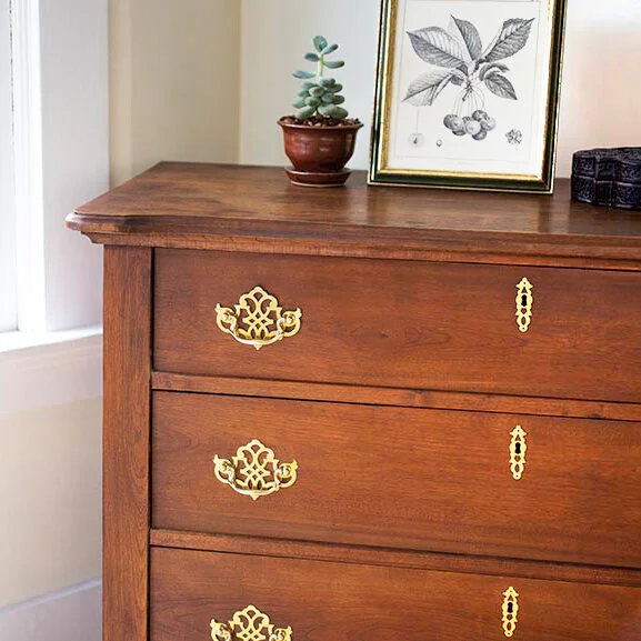 An antique-style dresser with shiny brass drawer pulls and escutcheons. On top of the dresser is a succulent in a red ceramic pot, and a scientific illustration of a plant in a gold picture frame. The dresser sits next to a window.