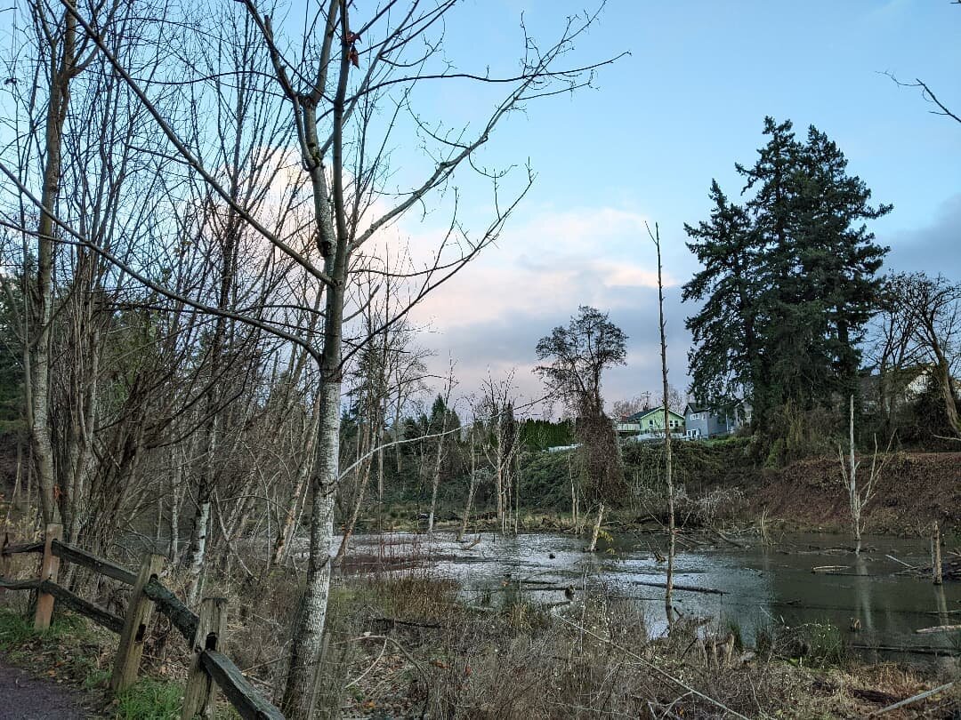 Went for a walk with my brother yesterday evening. I love the soft light and pastel colors in the evening on cold winter days.. ❄️

#portlandphotographer #seportland #johnsoncreek #errolheights #winter #sunset #thegloaming #eveninglight #celinaflores