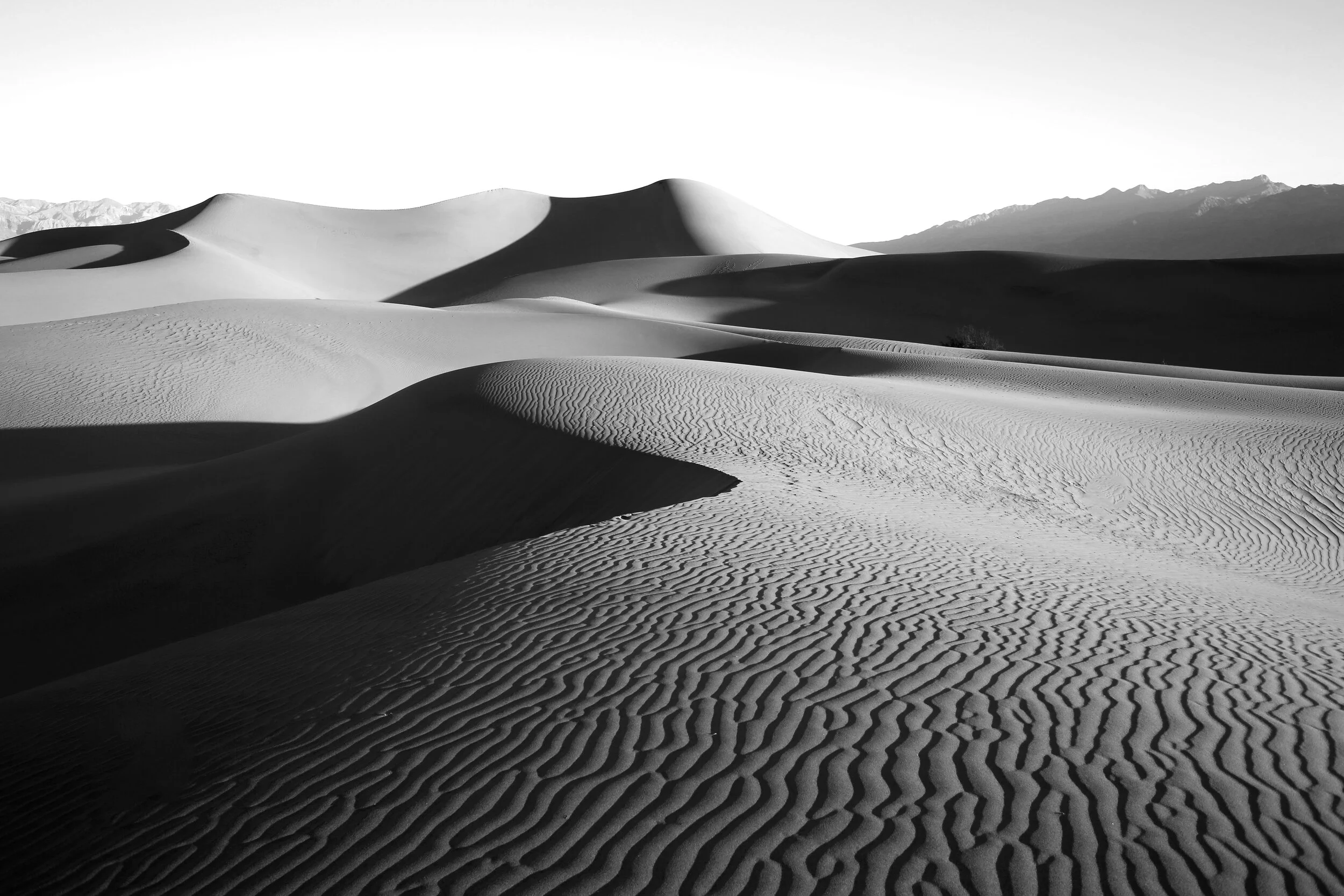 Death Valley, CA - Daisy Varley nature guide
