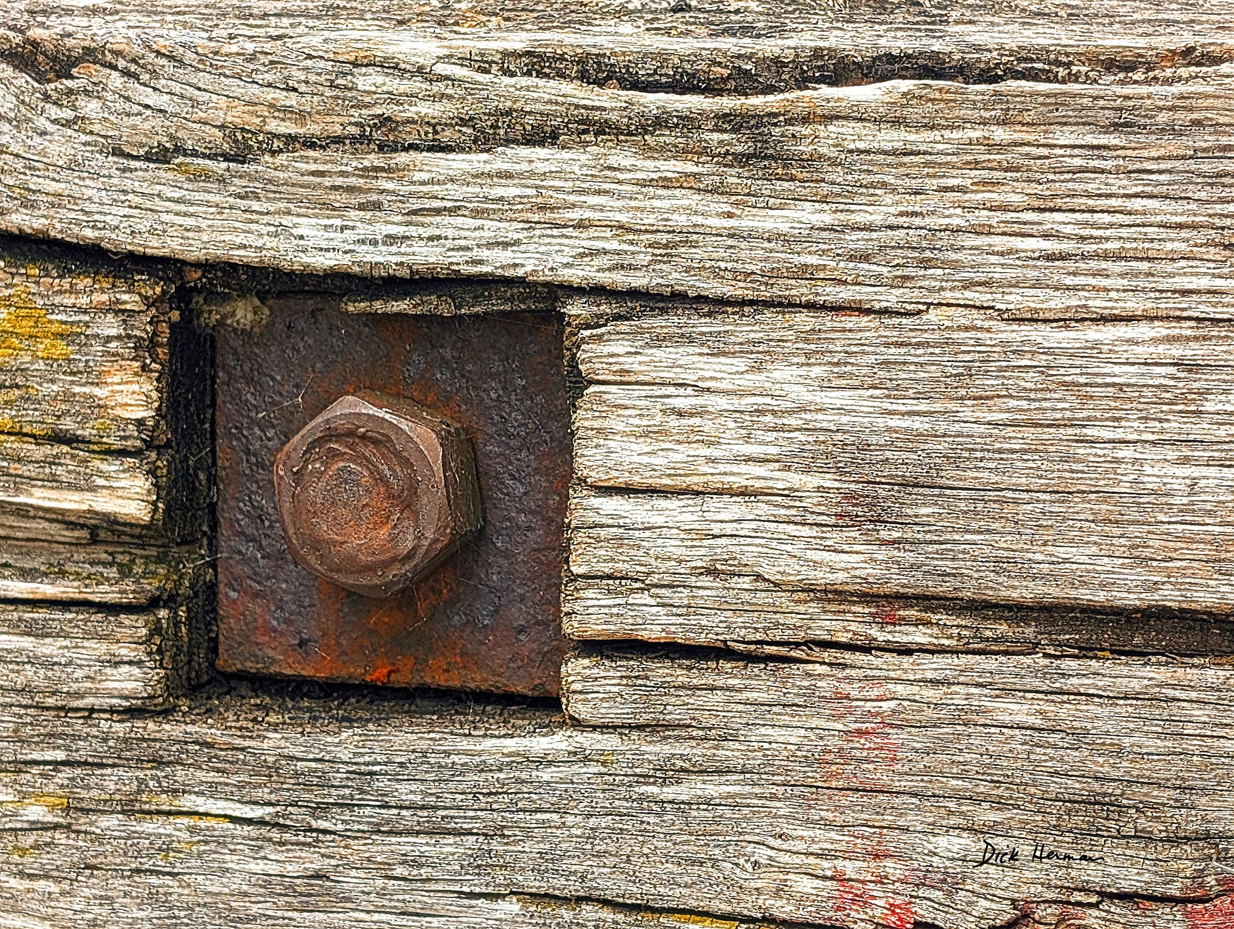 Bolt in Wood2 dh small.jpg