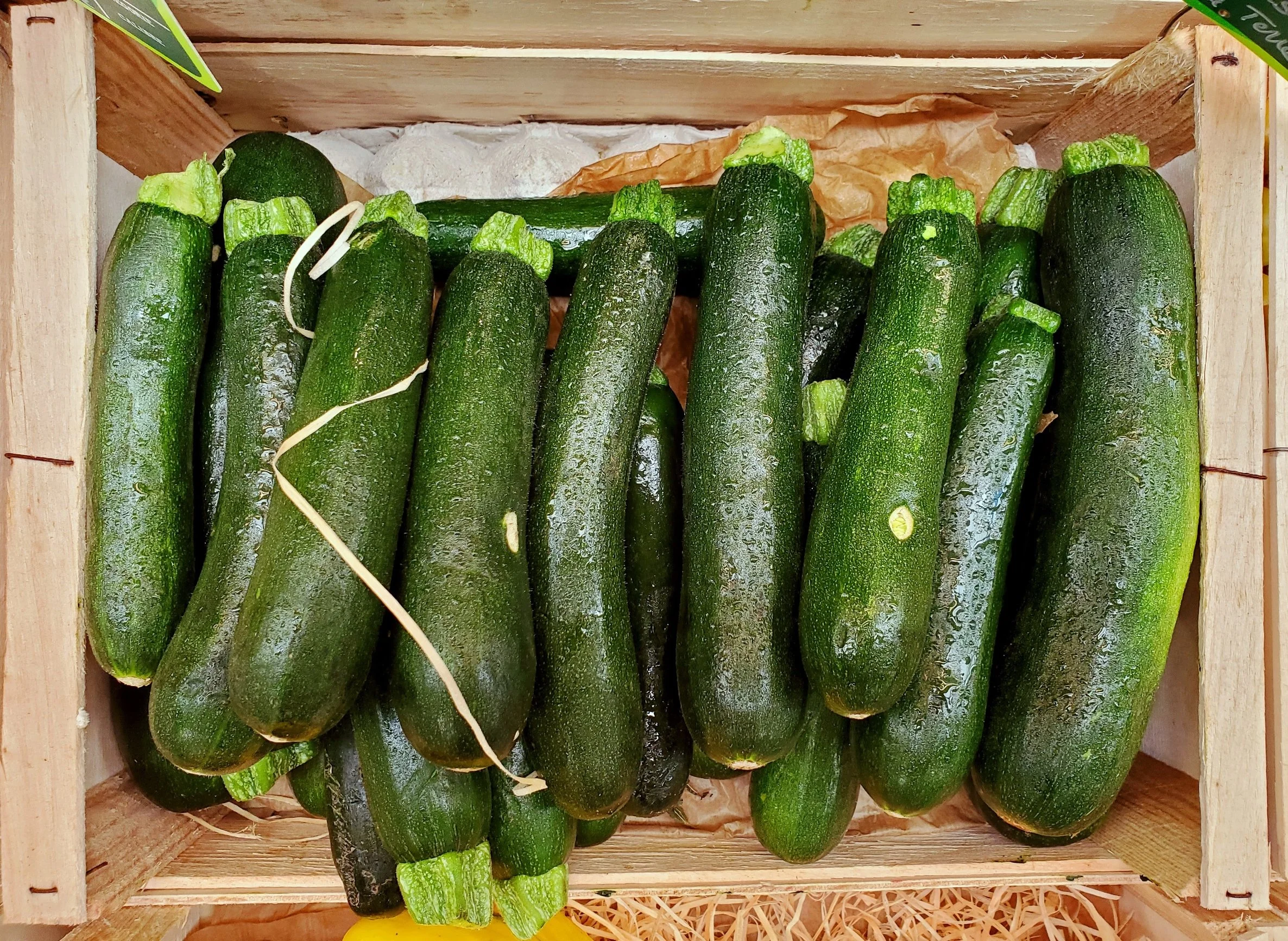French Cucumbers