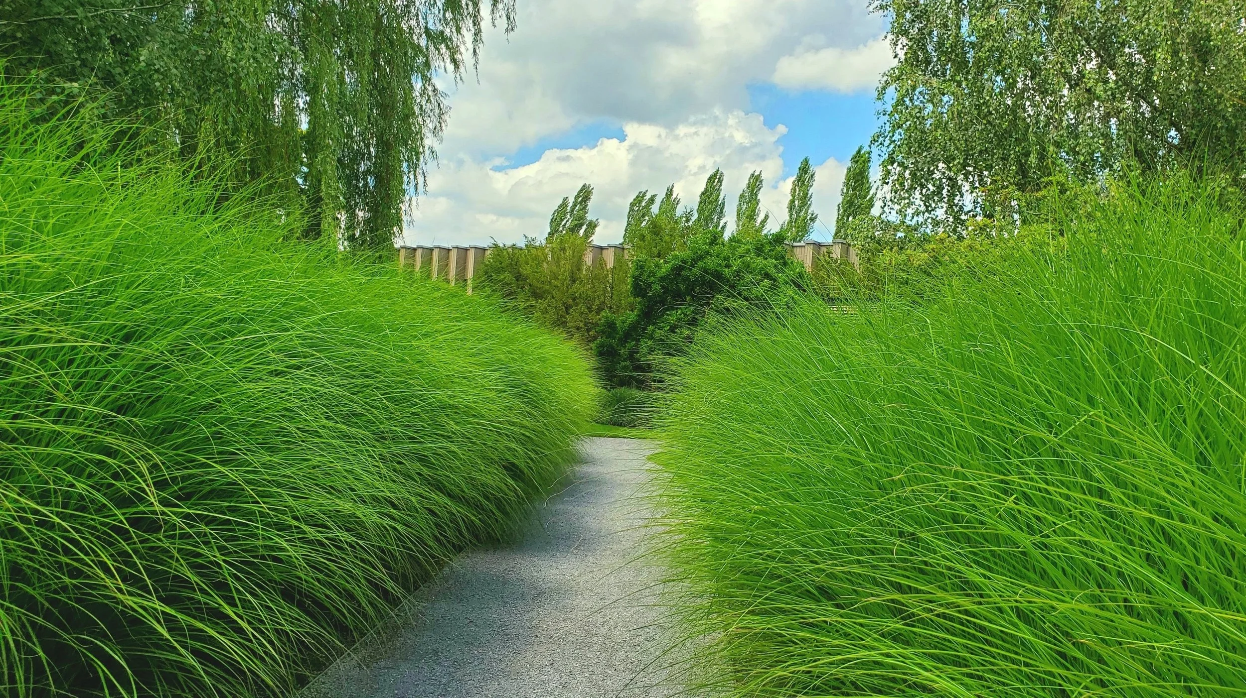 Bushy Grass Road