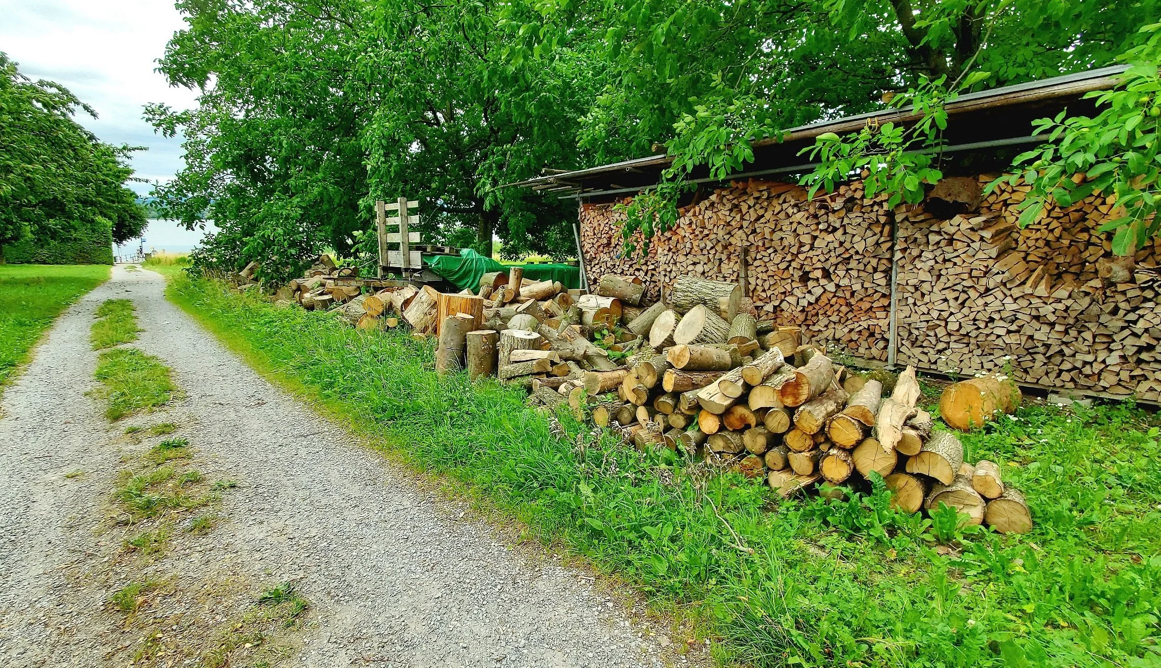 Cut wood