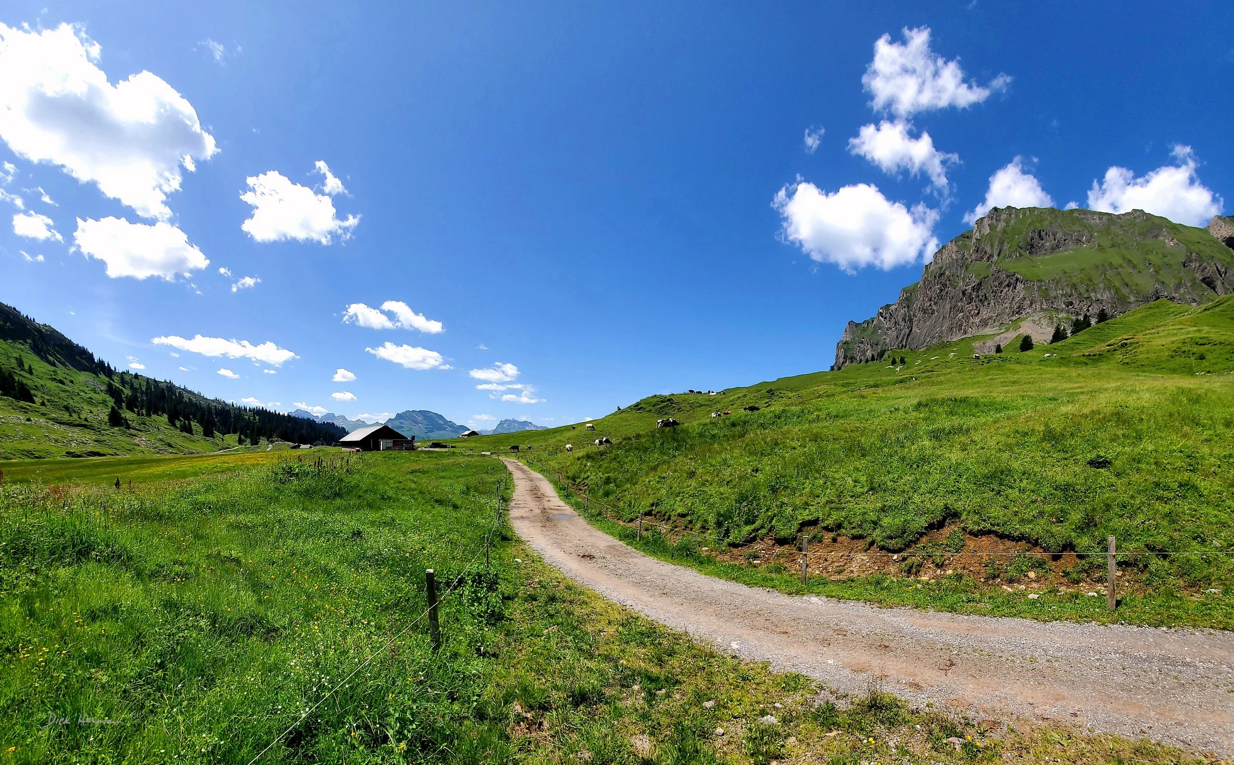 Road to Muotathal Switzerland