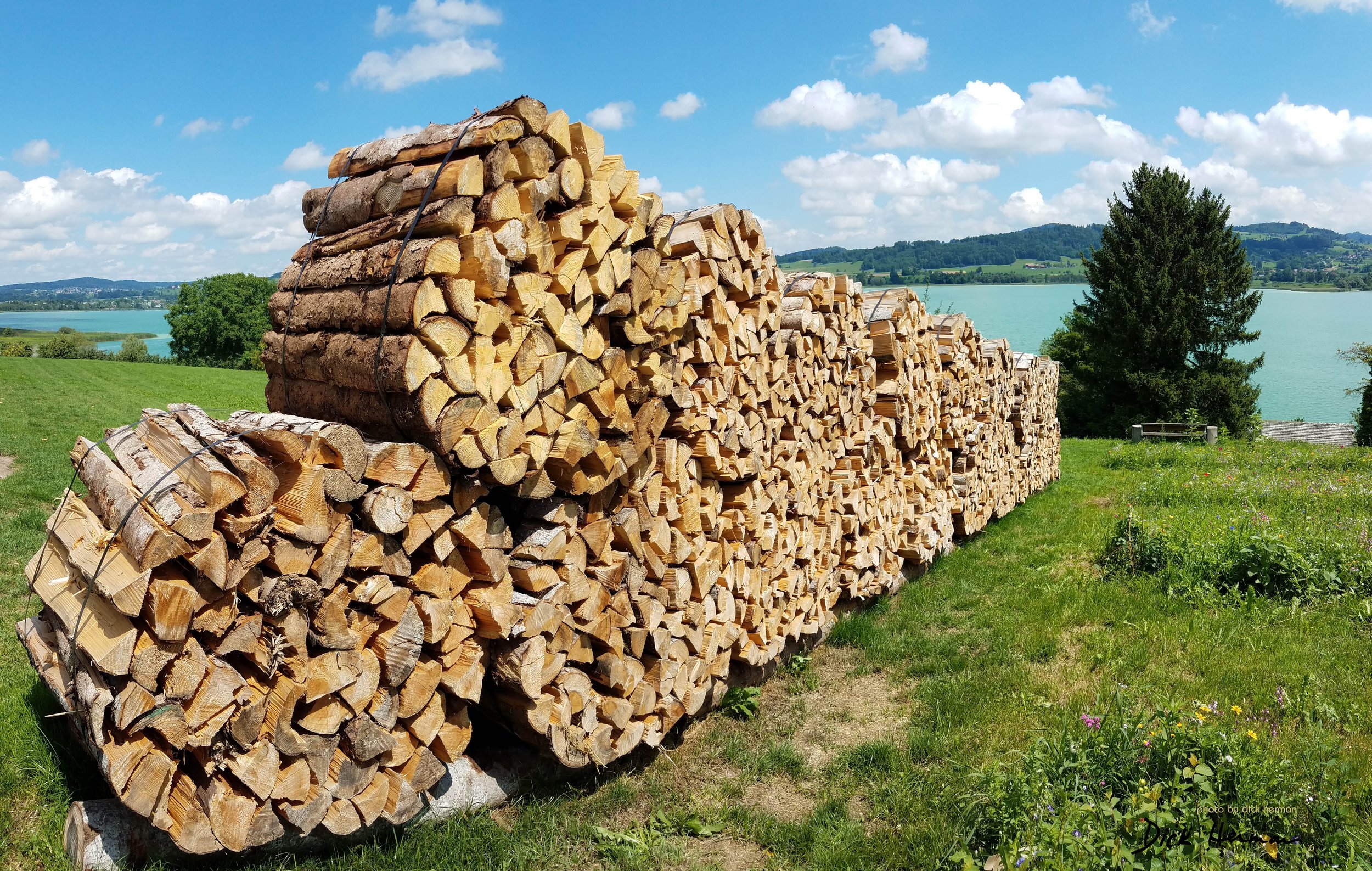 Wood Pile