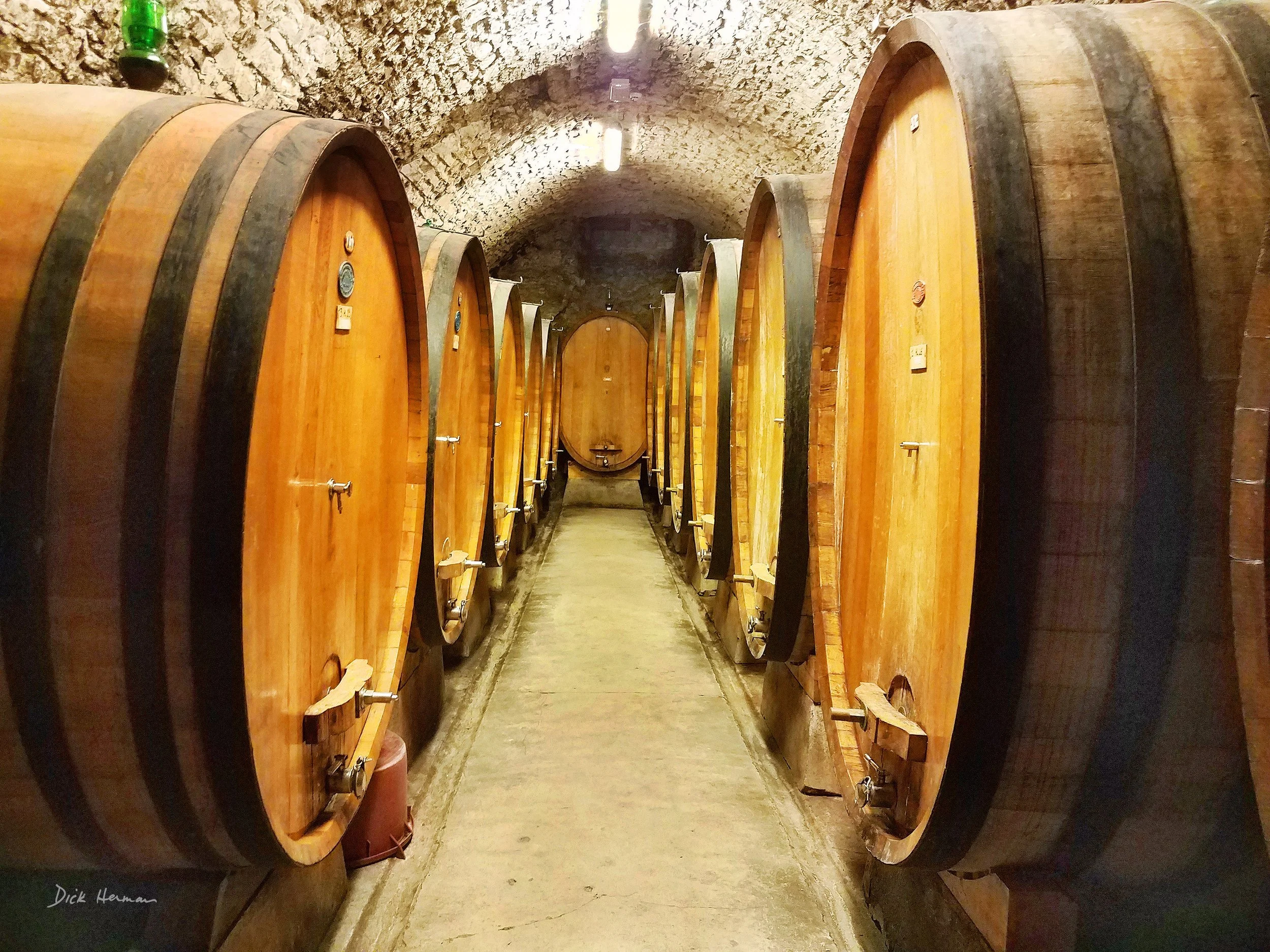 Wine Cellar in Italy