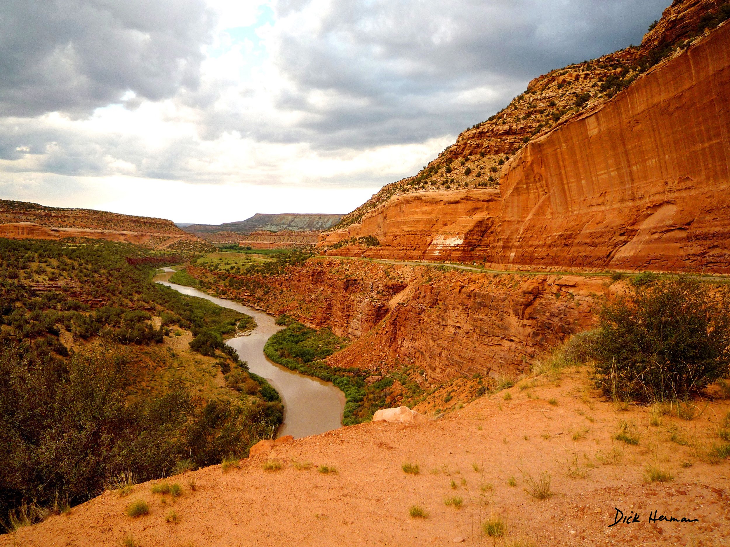 Colorado Stream