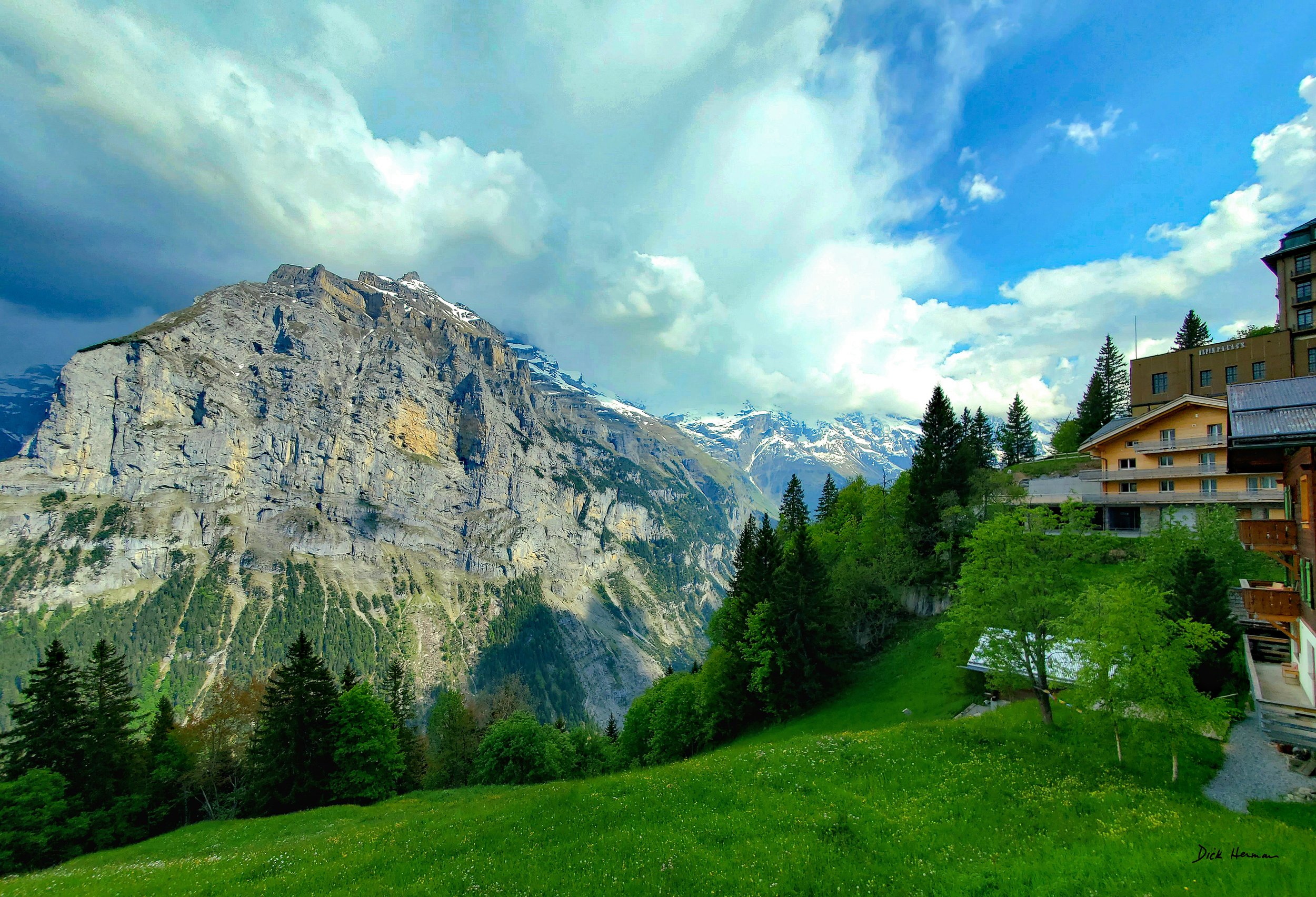 Swiss Beauty