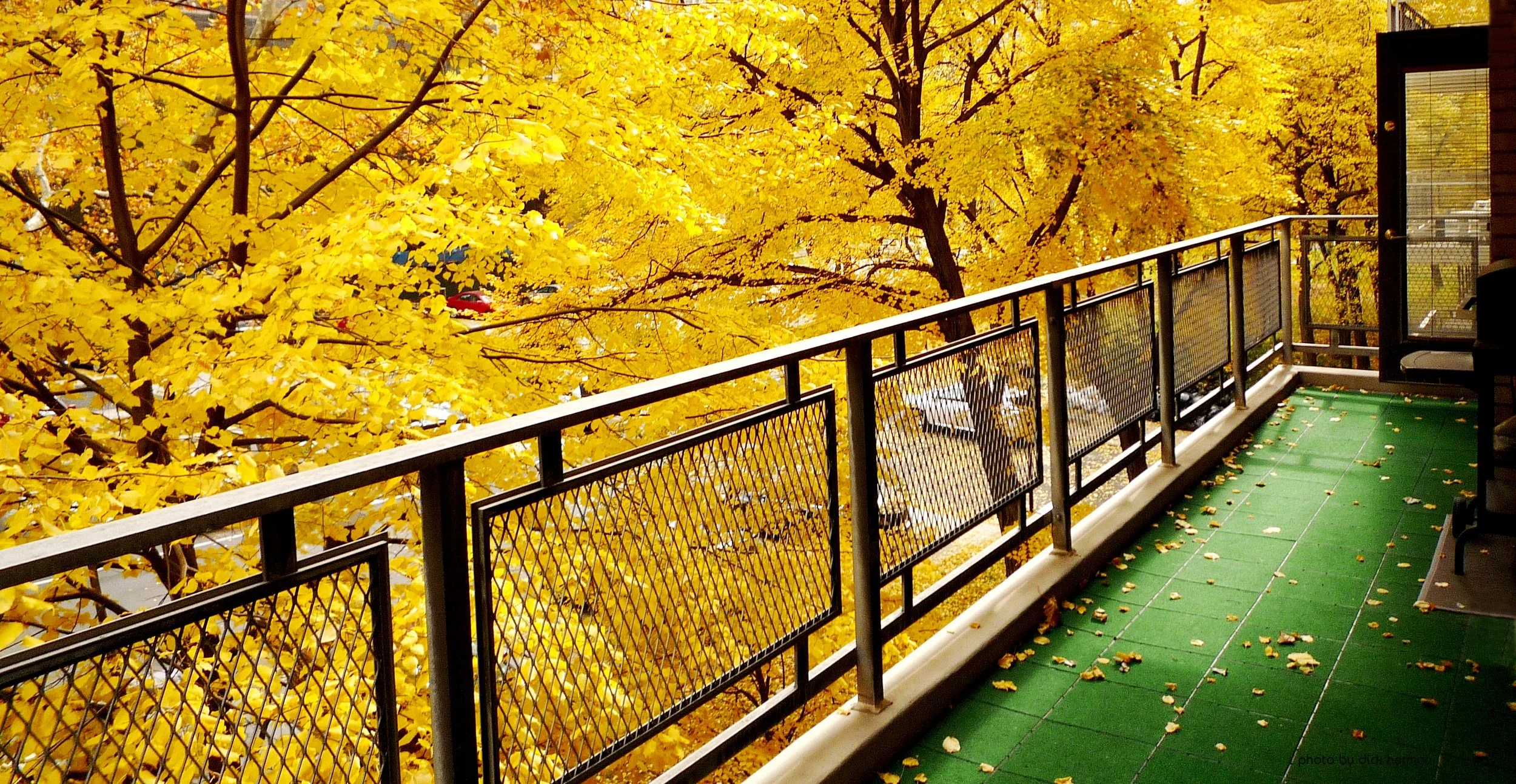 One fall day on New York City balcony