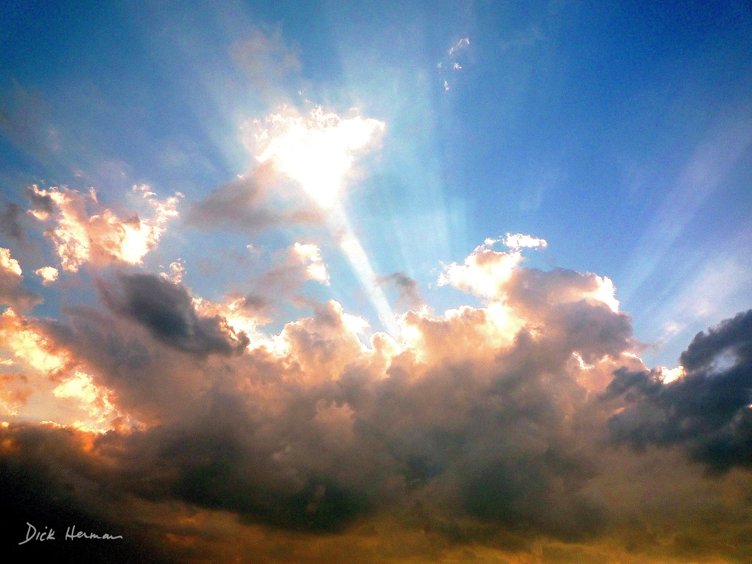 Determined Sky