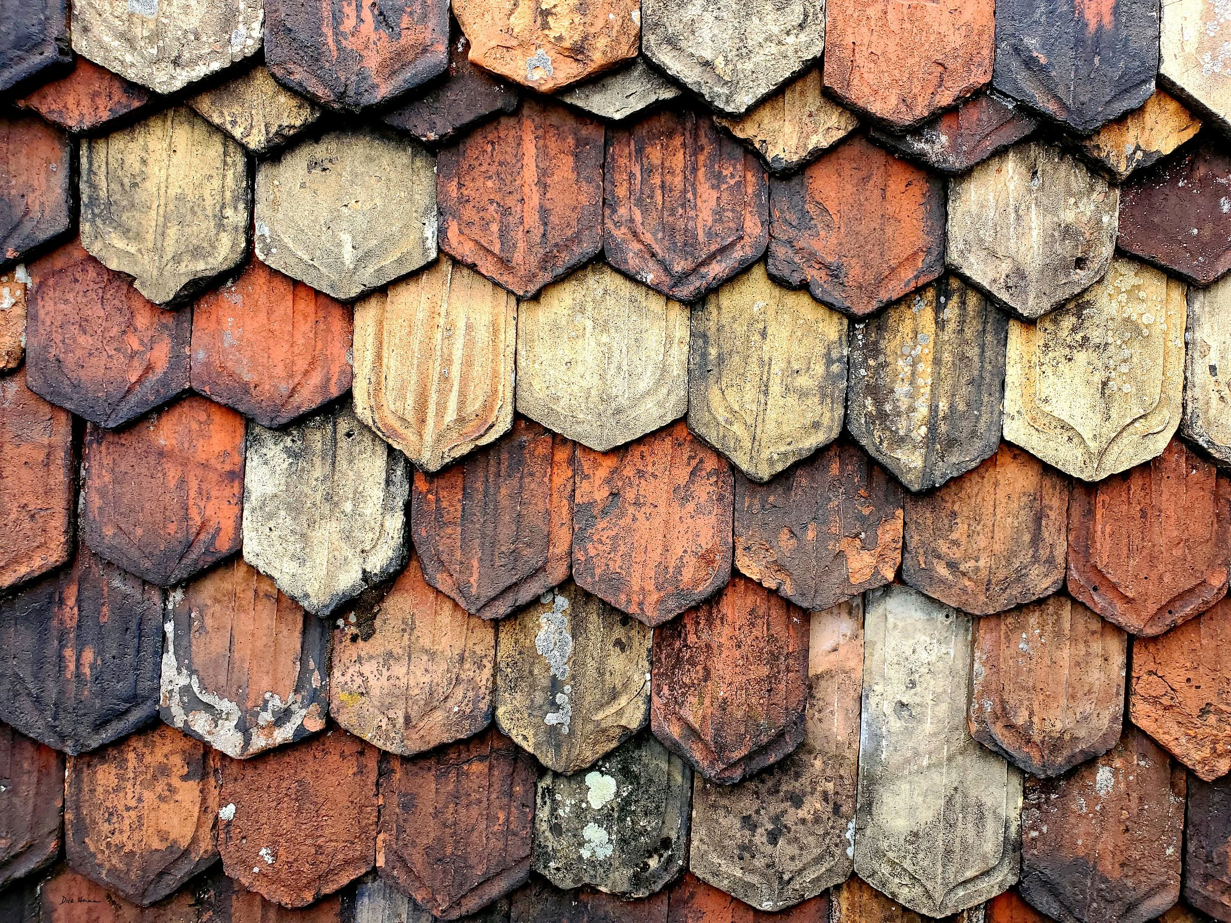 Shingles on a Swiss Roof