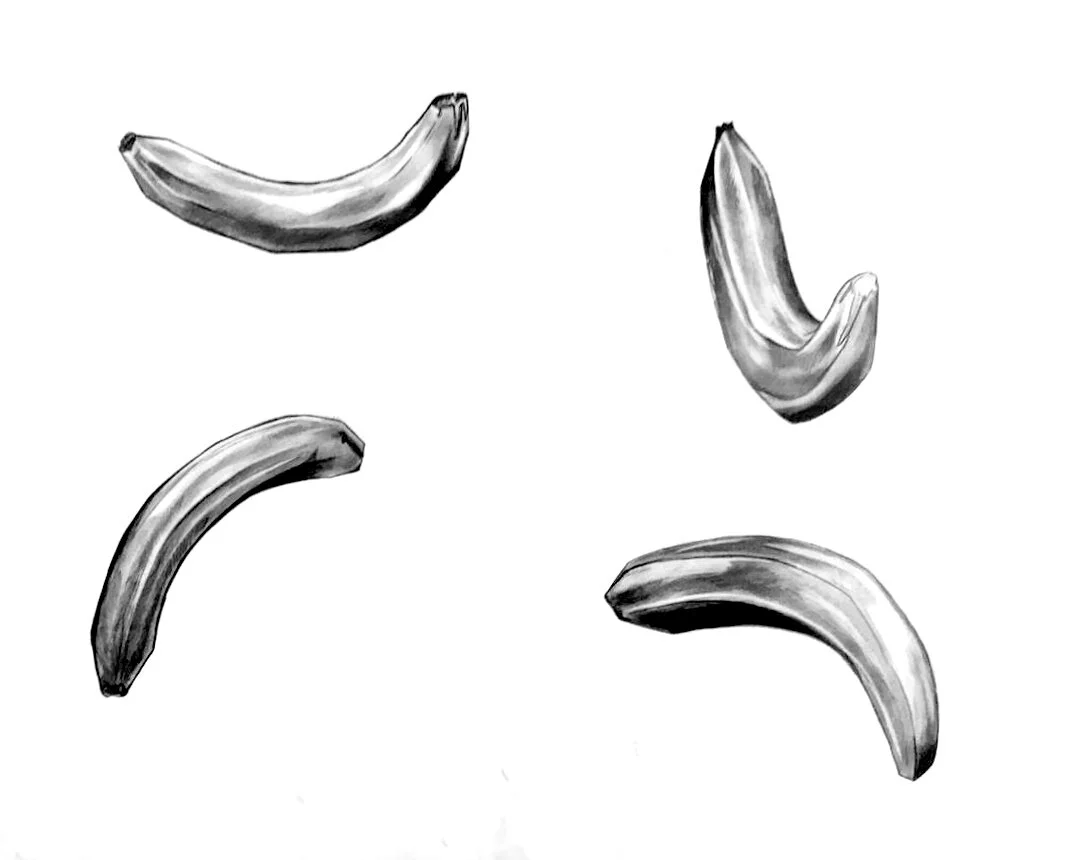 Pencil 18” by 24”