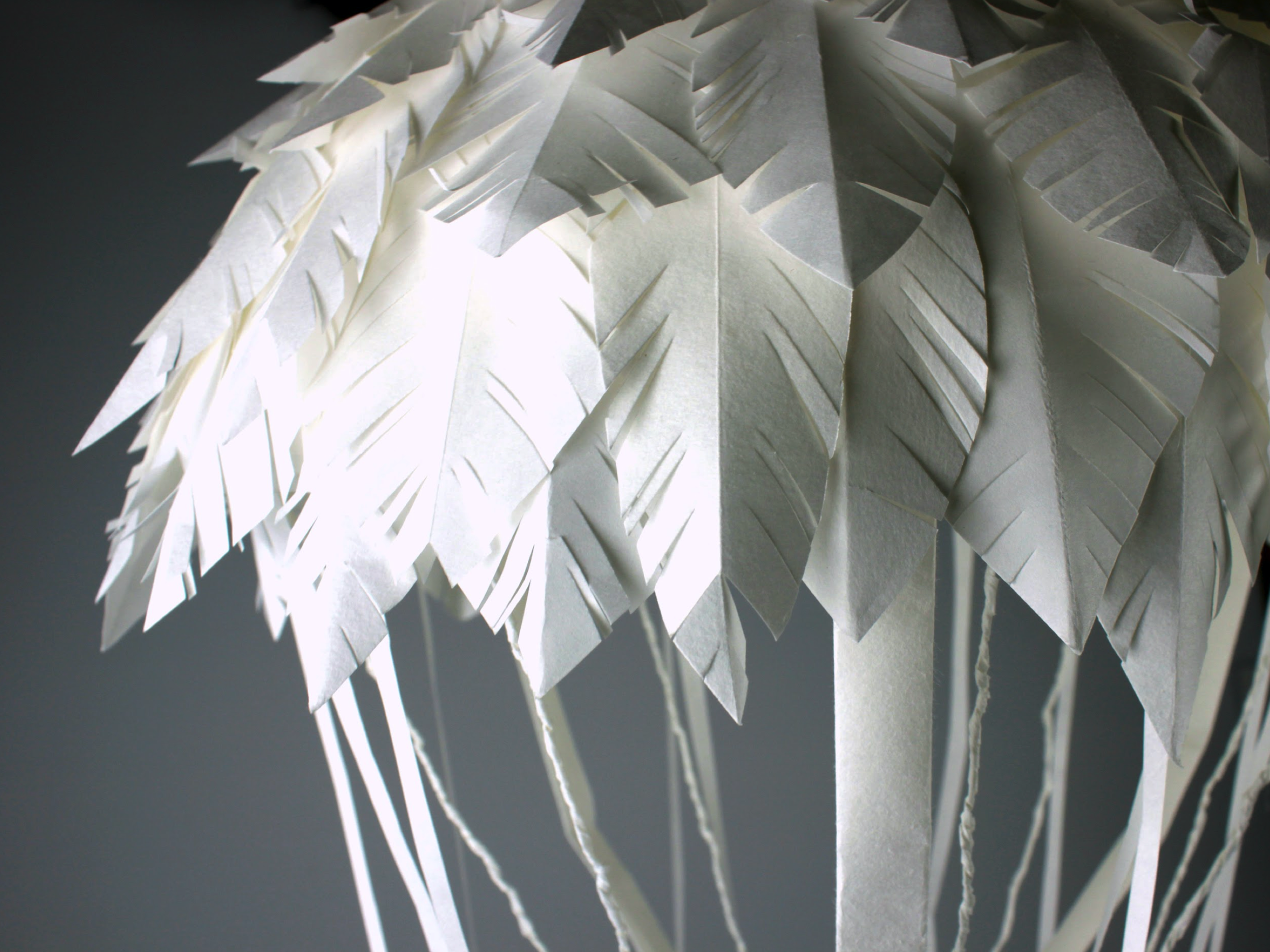 Paper 25” x 12” x 12”