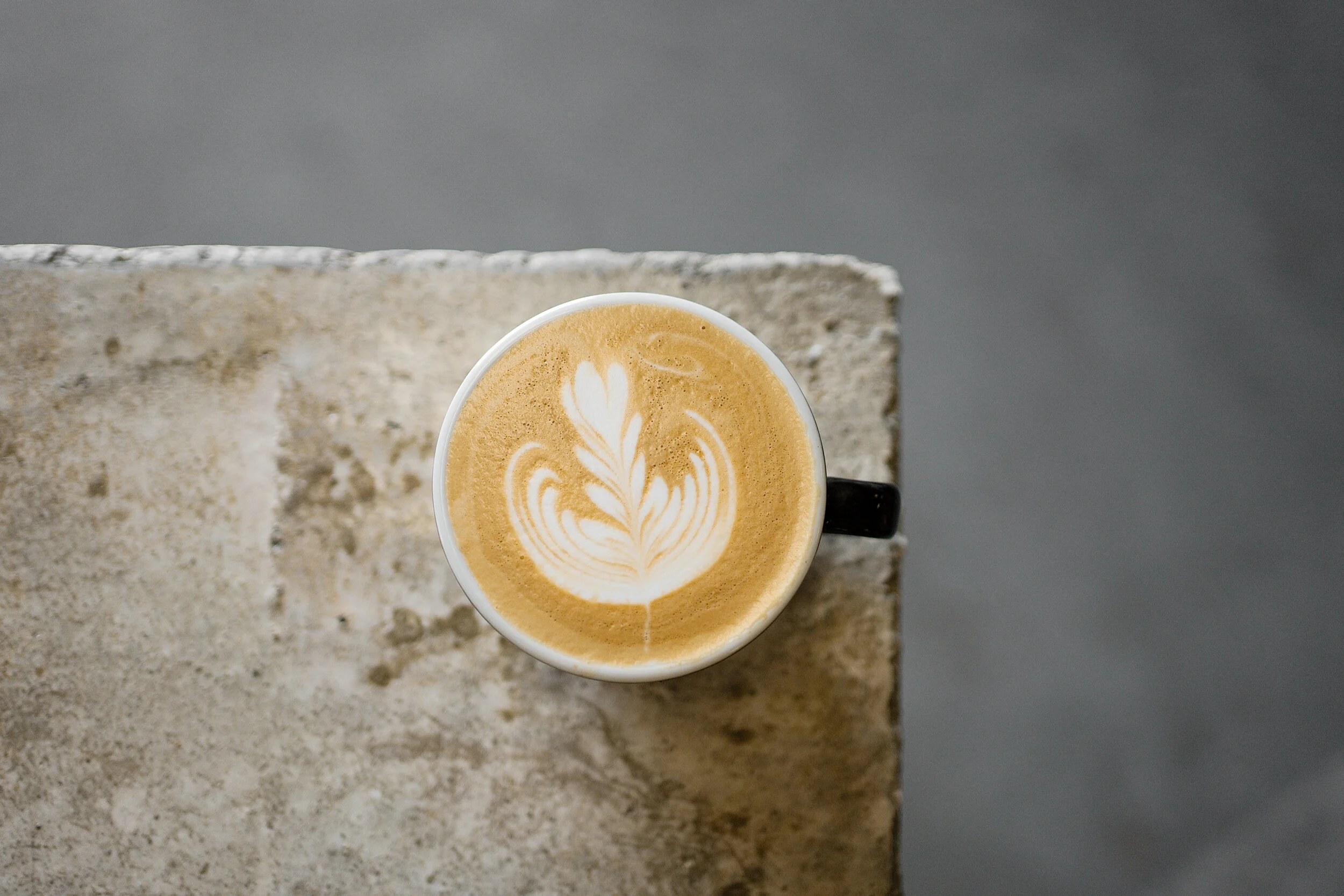 Midnight Animal Coffee