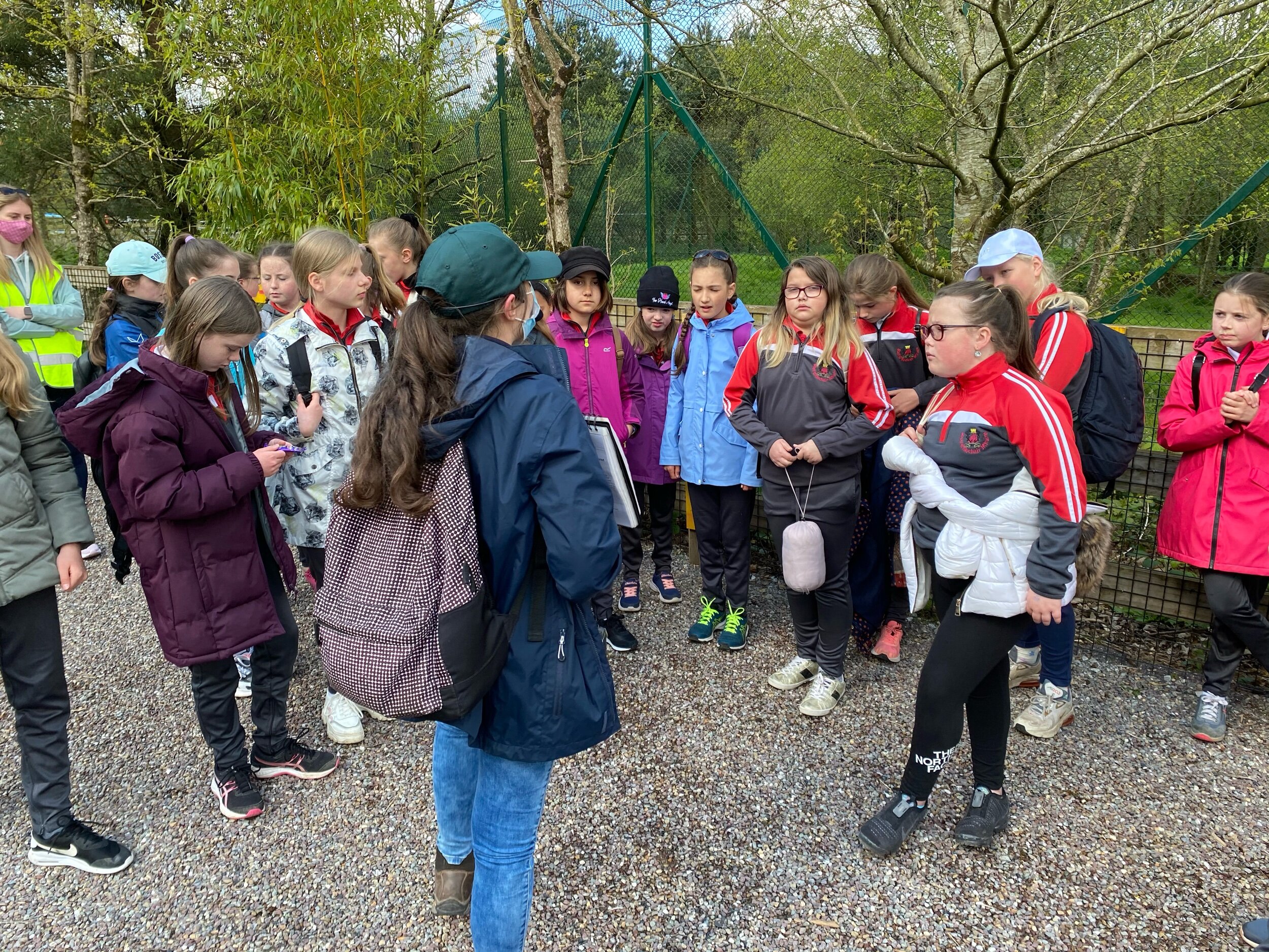 Our trip to Fota Wildlife Park