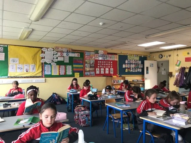 Some cool things we did in Múinteoir Cathal's Class 