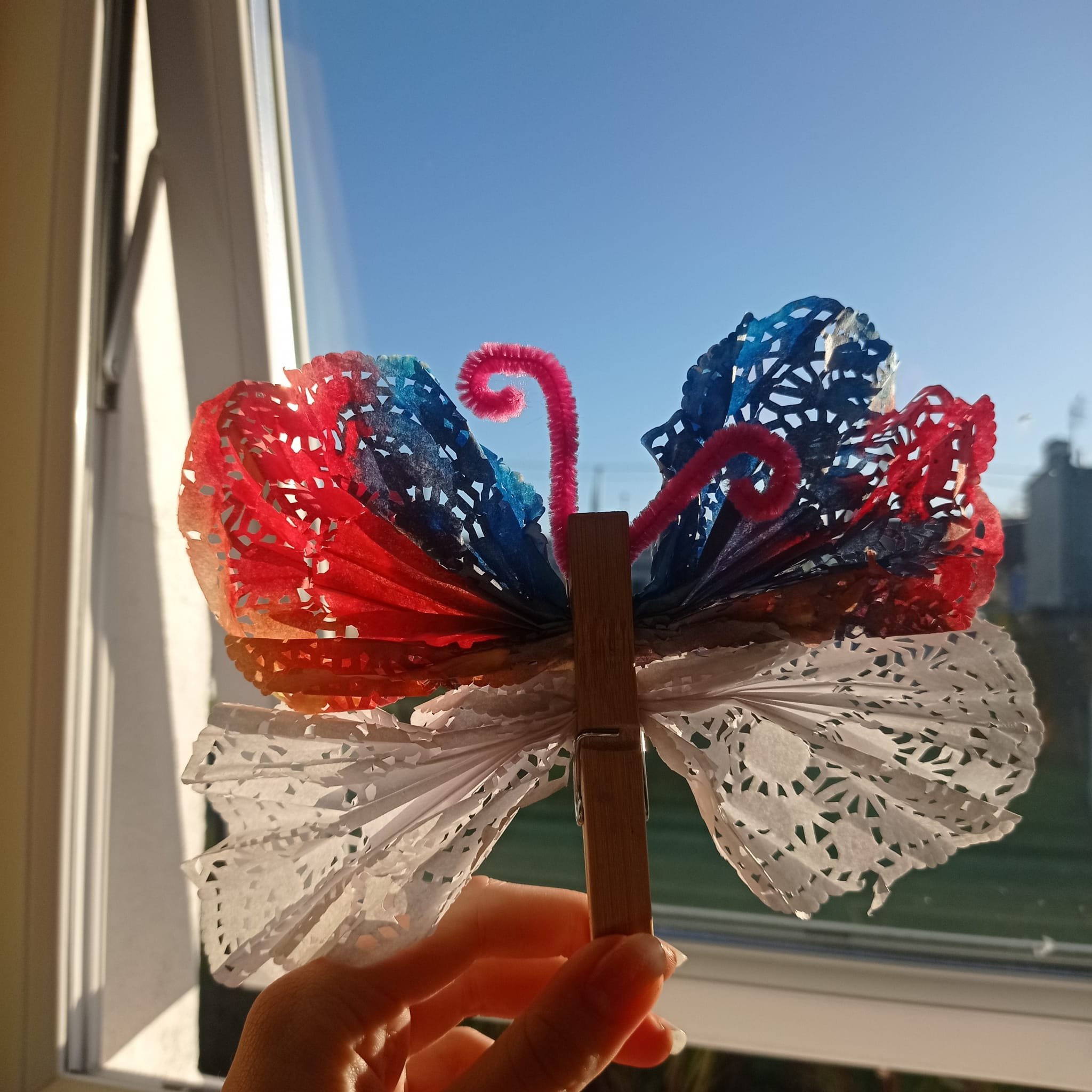 WhatsApp Image 2022-11-28 at 15.03.43.jpeg