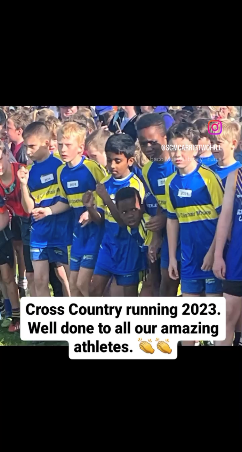 crossc6.png