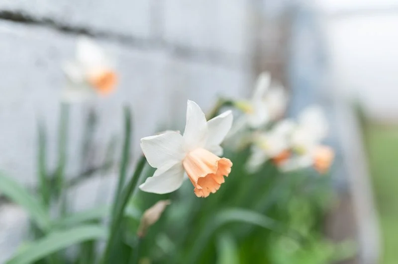 SCM_March_Web Quality-8.jpg