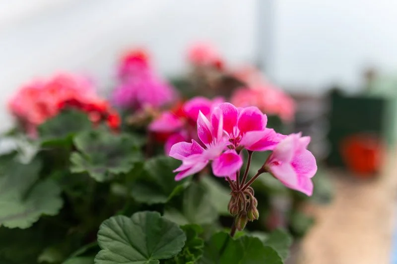 SCM_March_Web Quality-23.jpg