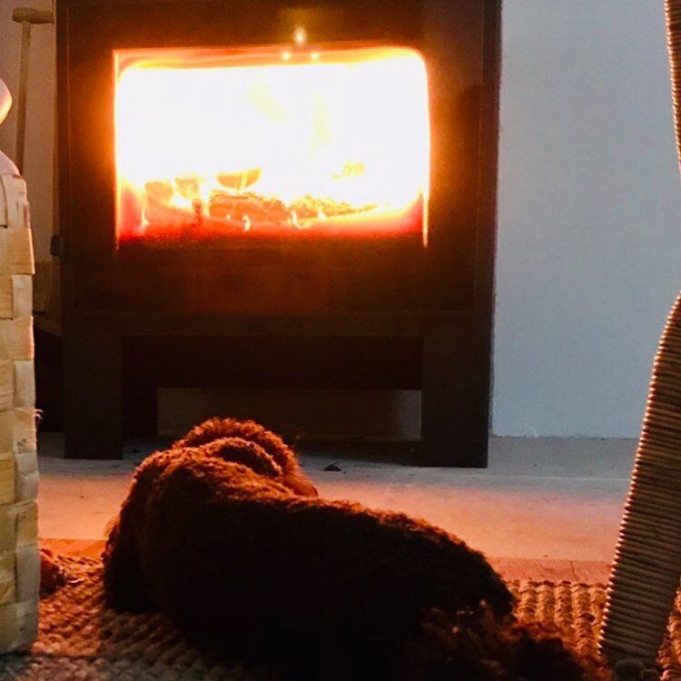 Best place according to 4 and 2 legged crew members. 

#bythefireplace #bestplacewhencold #warmingfire #huuvahideaway #heartoflapland #swedishlapland