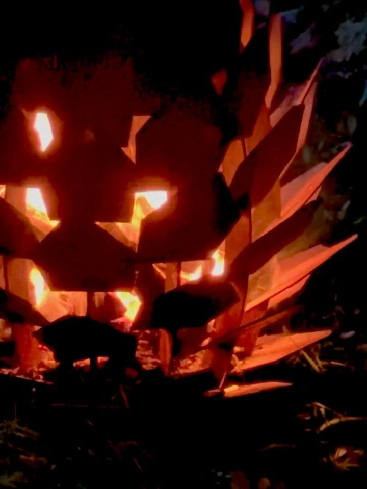 Autumn has wrapped the forest in gold, and northern lights dance across the sky

What about a steaming cup of black currant, spiced with cinnamon, cardamom and star anise? 
We&rsquo;re gathering around the crackling fire cone 🔥 looking up at the poe