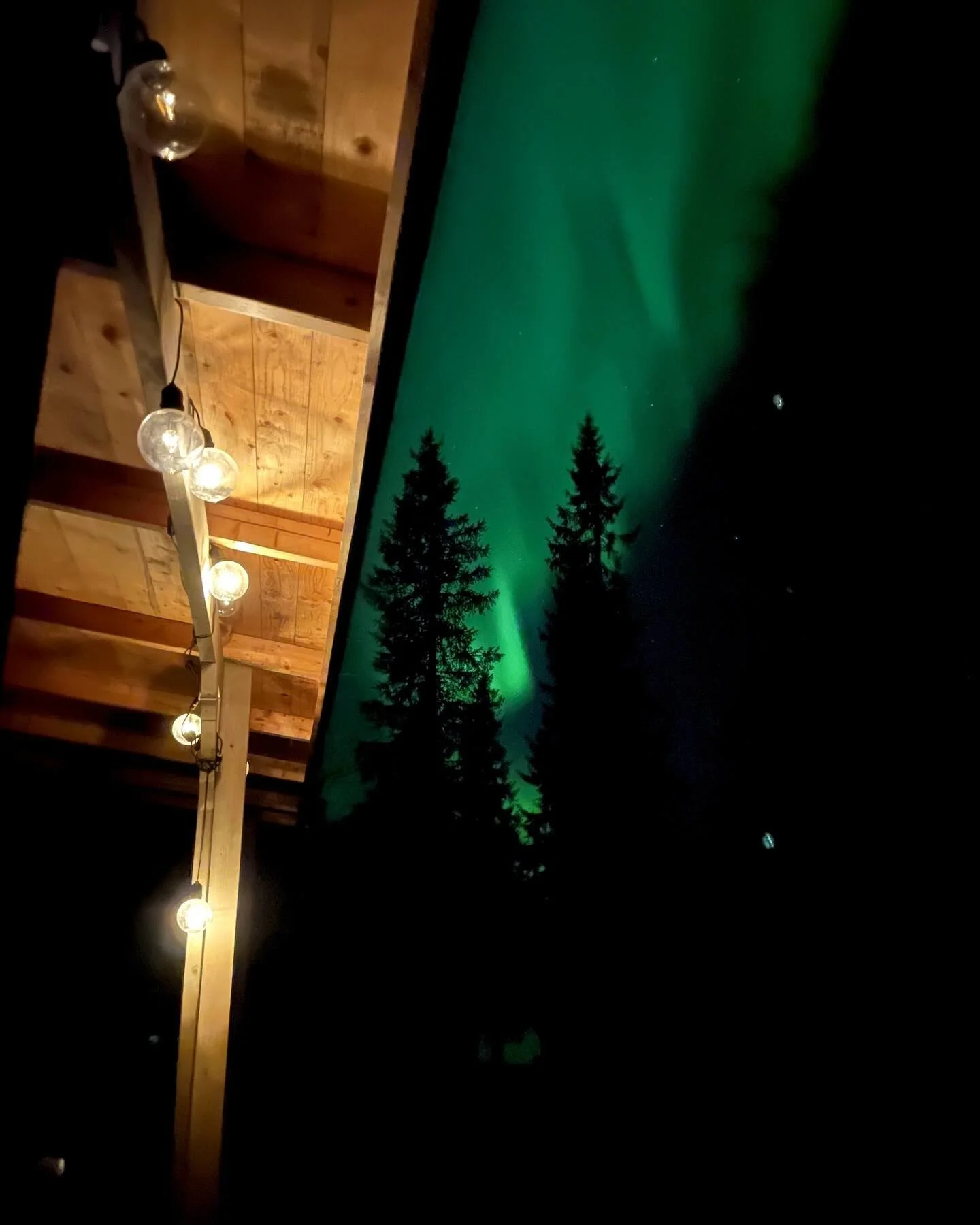 The Northern Lights have their own rhythm - quiet, powerful, and beautifully unpredictable. But this winter, something truly extraordinary is coming 💙💚❤️

Astronomers predict a rare peak in solar activity during the 2025/2026 season, meaning bright