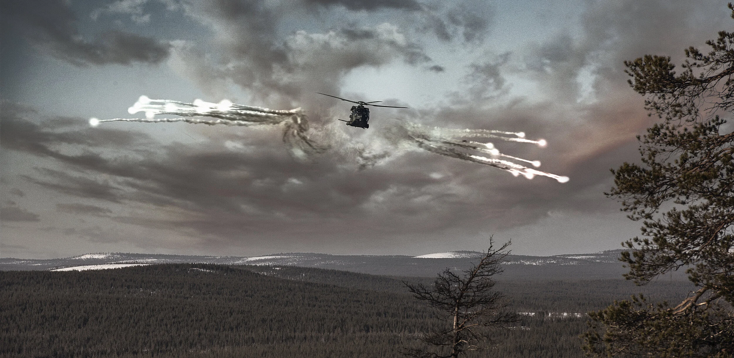 Finnish Defence Forces