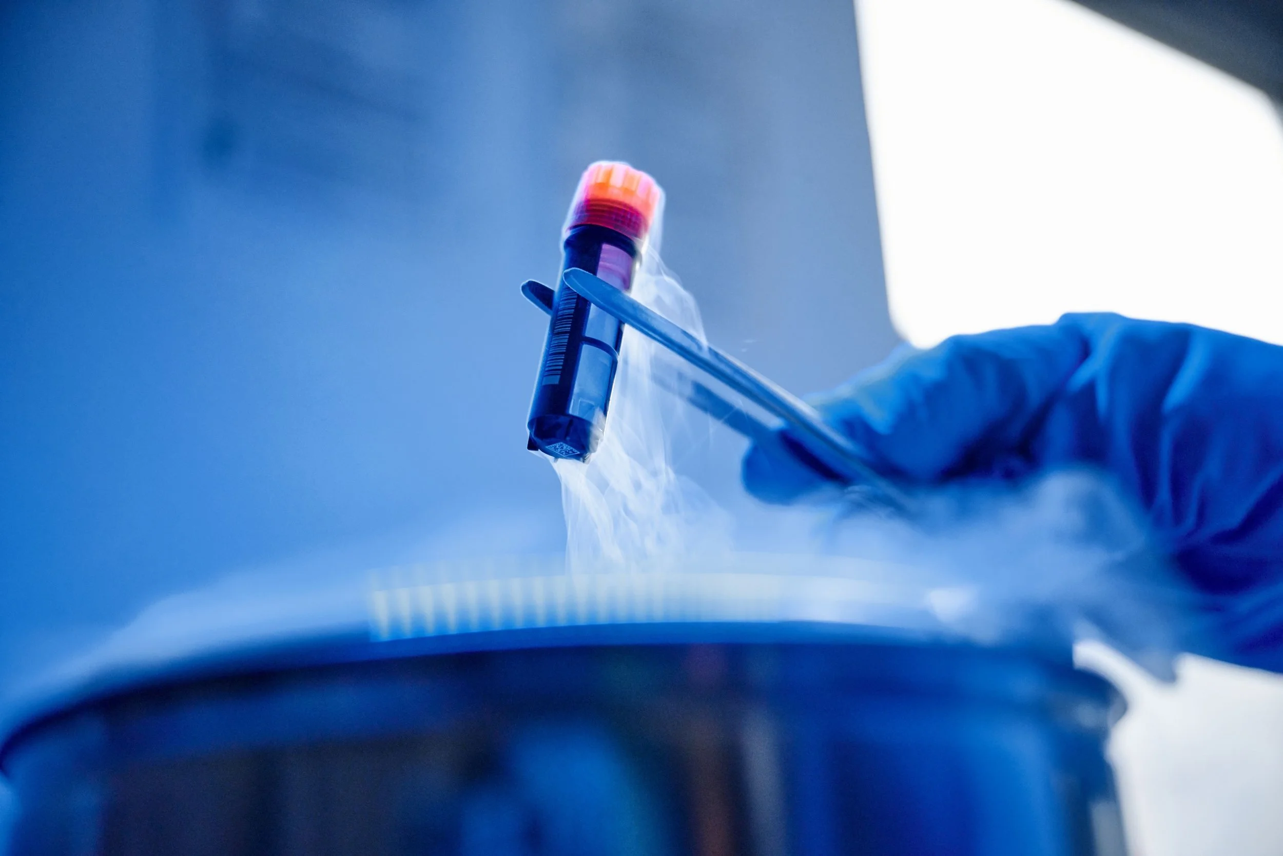 Forschung und Entwicklung fuer zellbasierten Fisch_copyright Bluu Biosciences.jpg