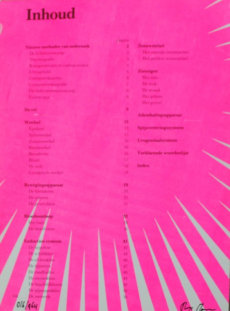 964 Frames V1_00035.jpg