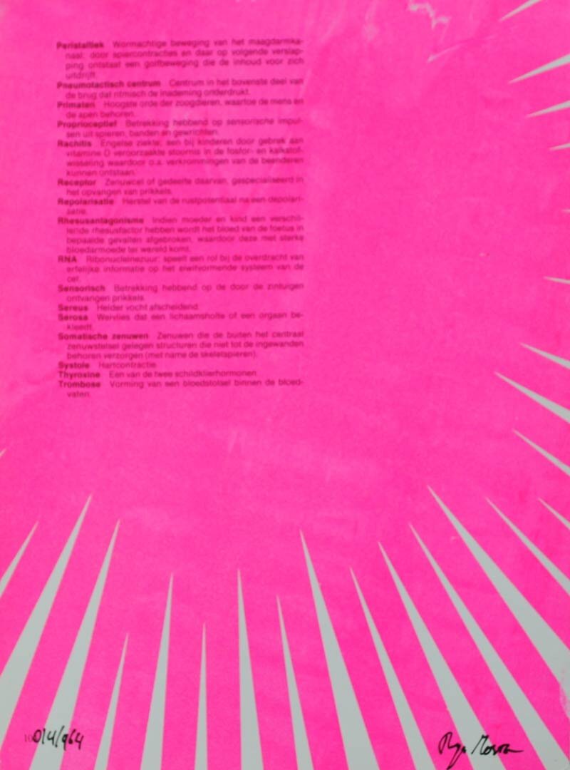 964 Frames V1_00031.jpg