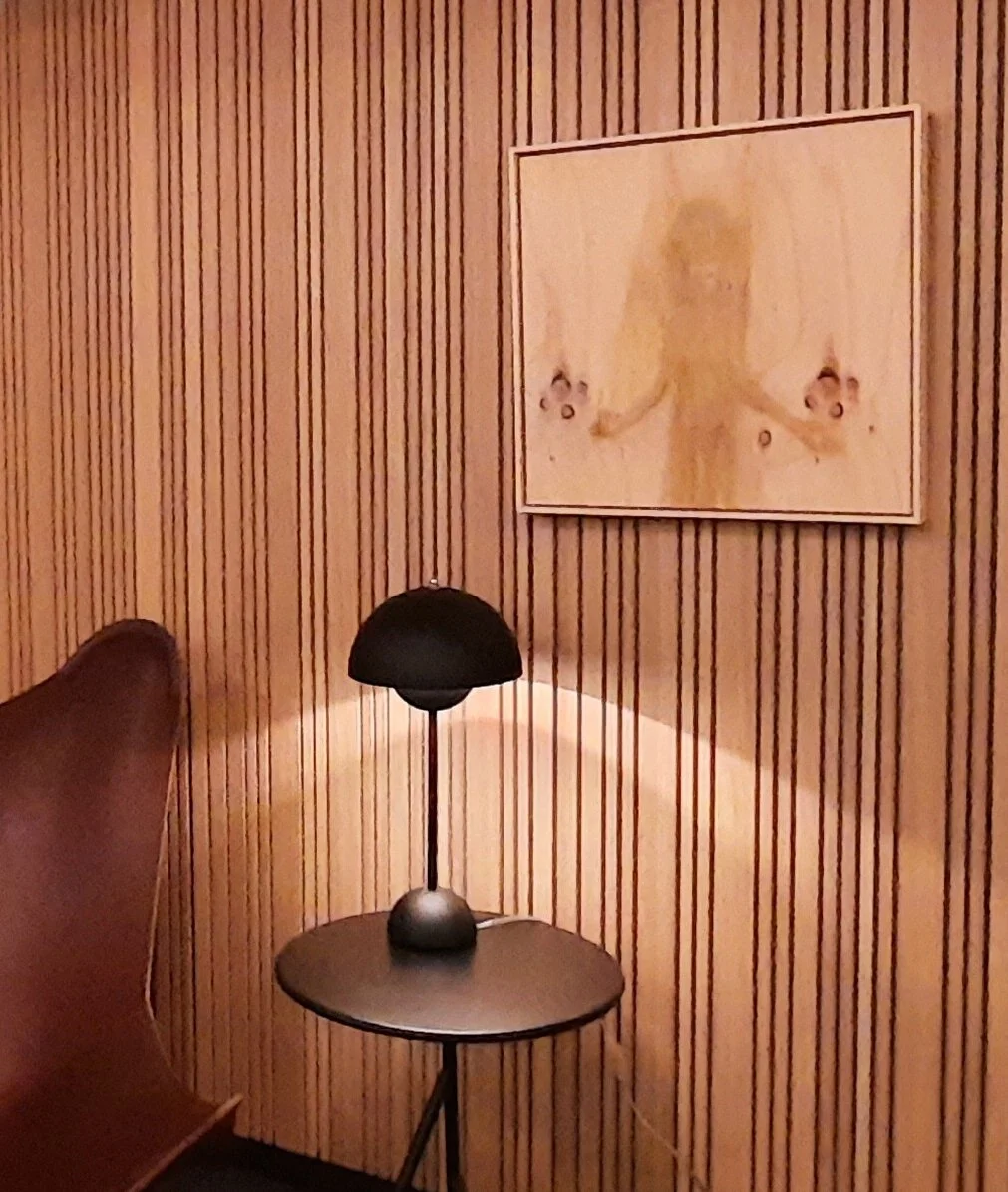 Juggler, TV2Lorry/mødelokale