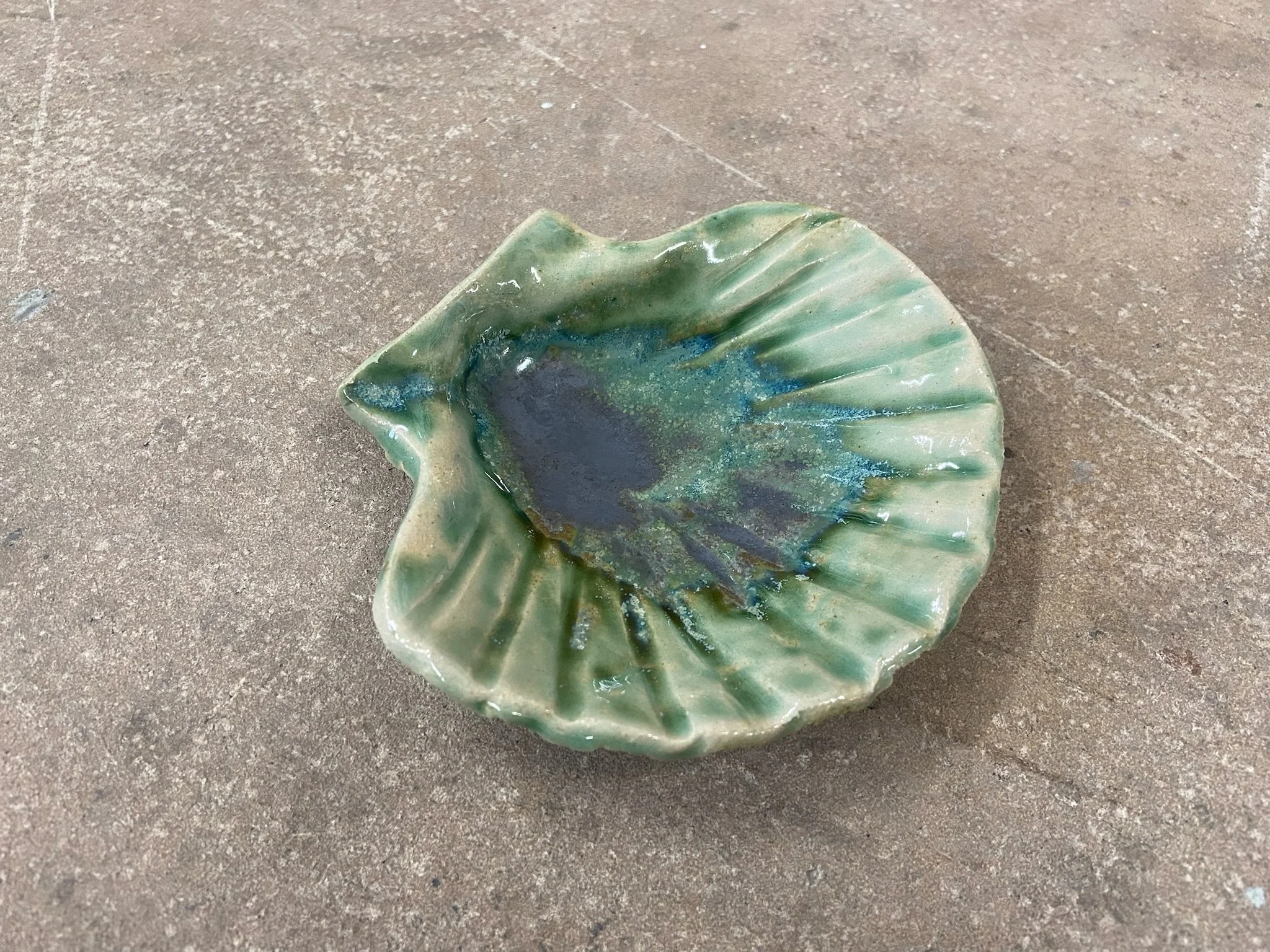 Mucschelschale.jpeg