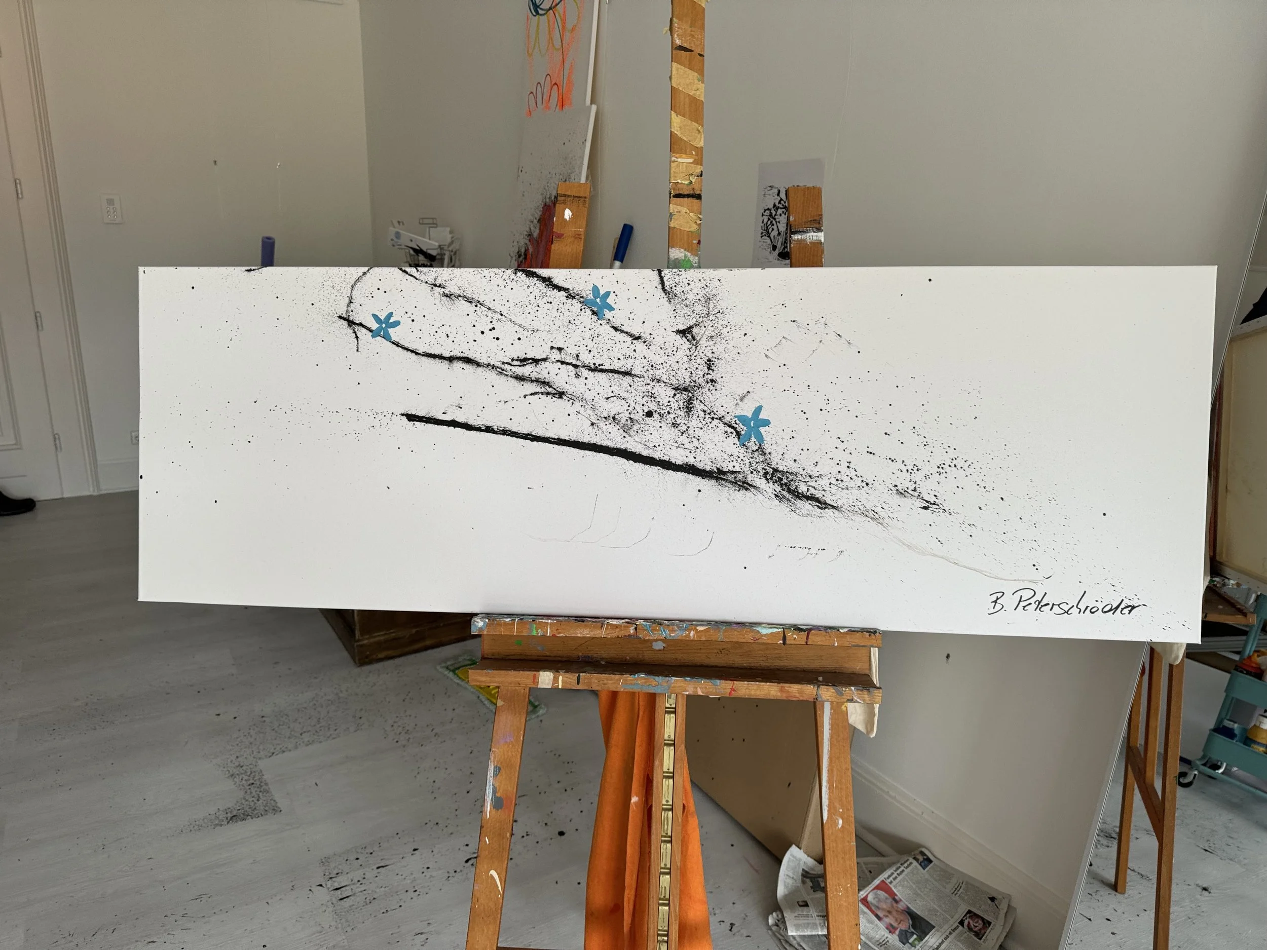 Mischtechnik auf Leinwand 30 x 200 cm (verkauft)