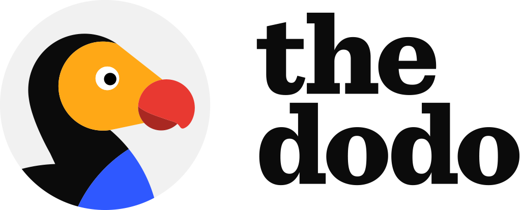 Social in Media Publishing: The Dodo