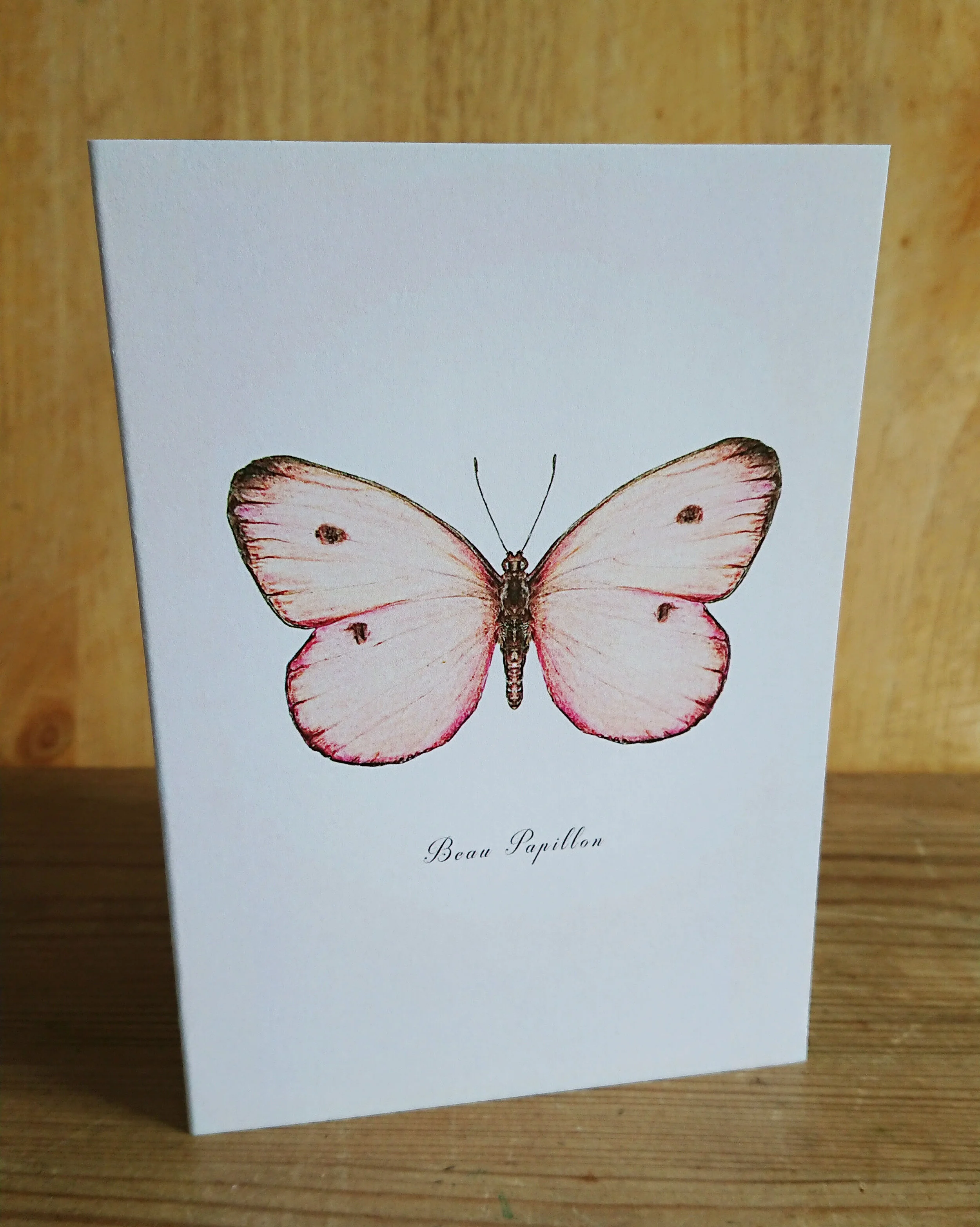 Pink Butterfly