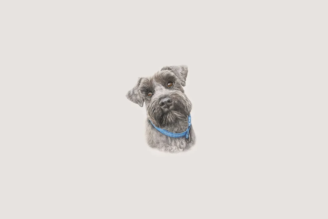 Dog Illustration Landscape V2.jpg