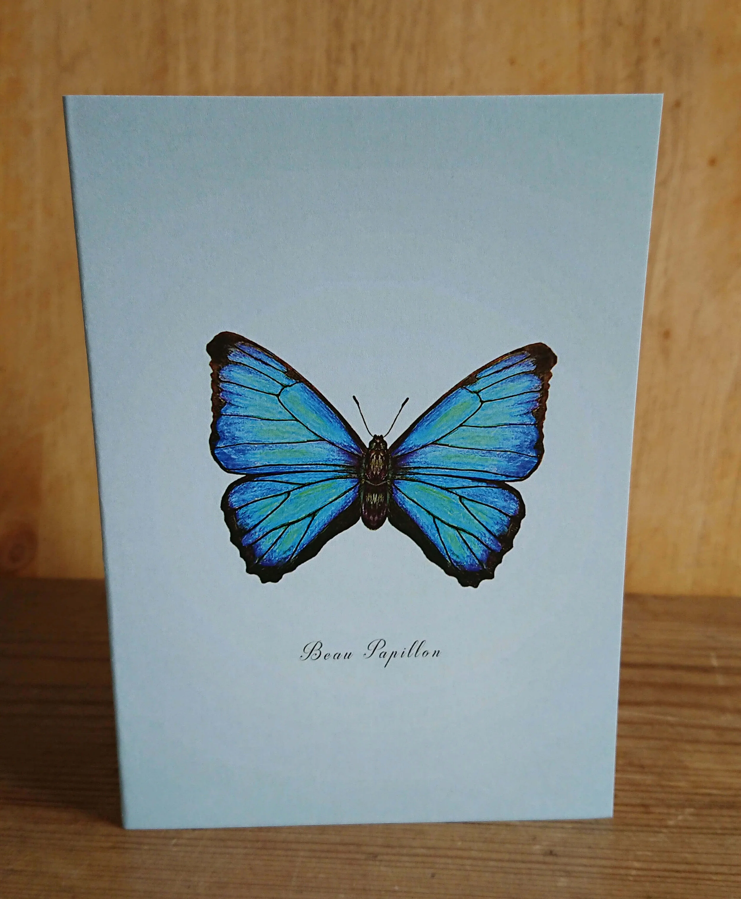Blue Butterfly