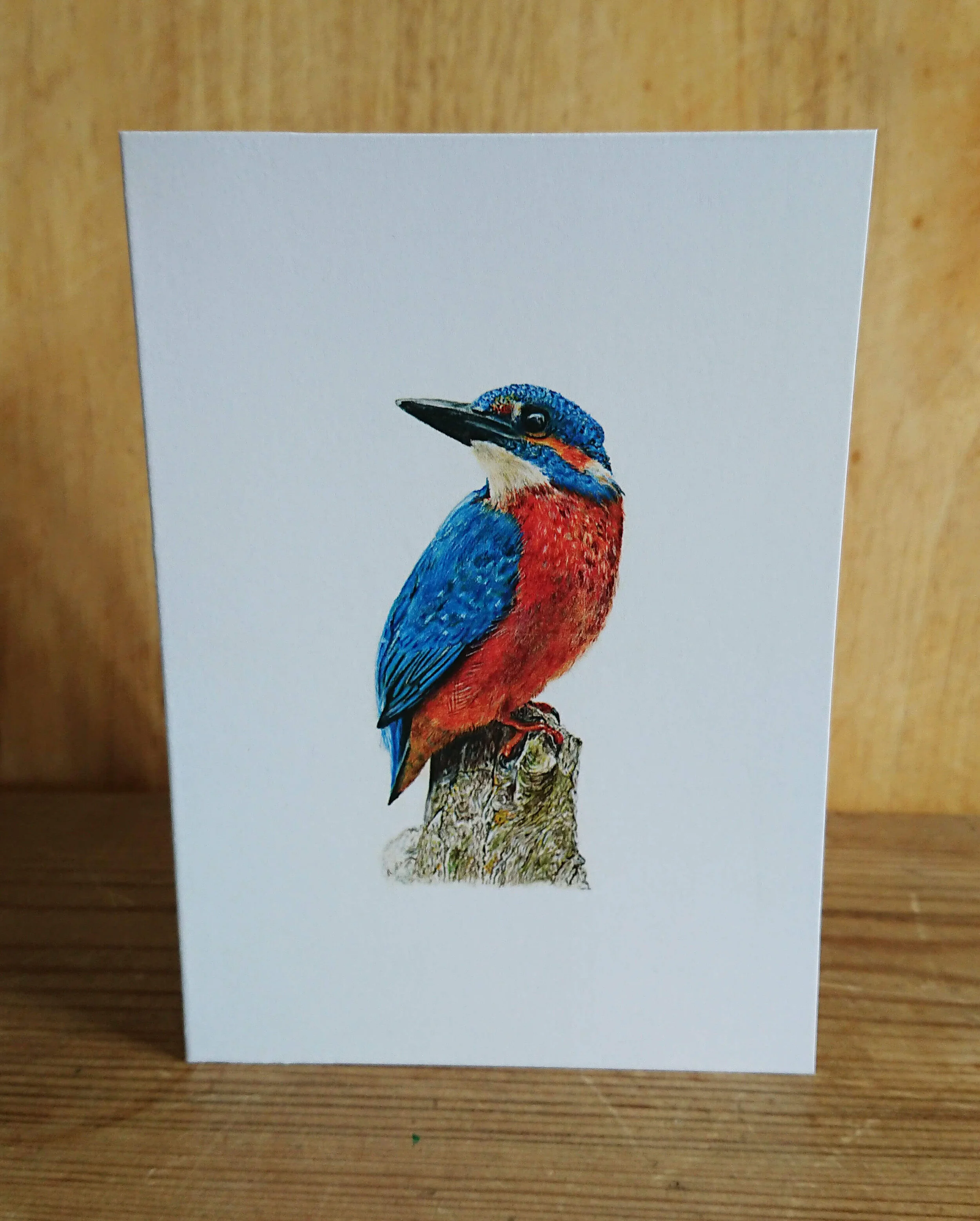 Kingfisher card front.jpg