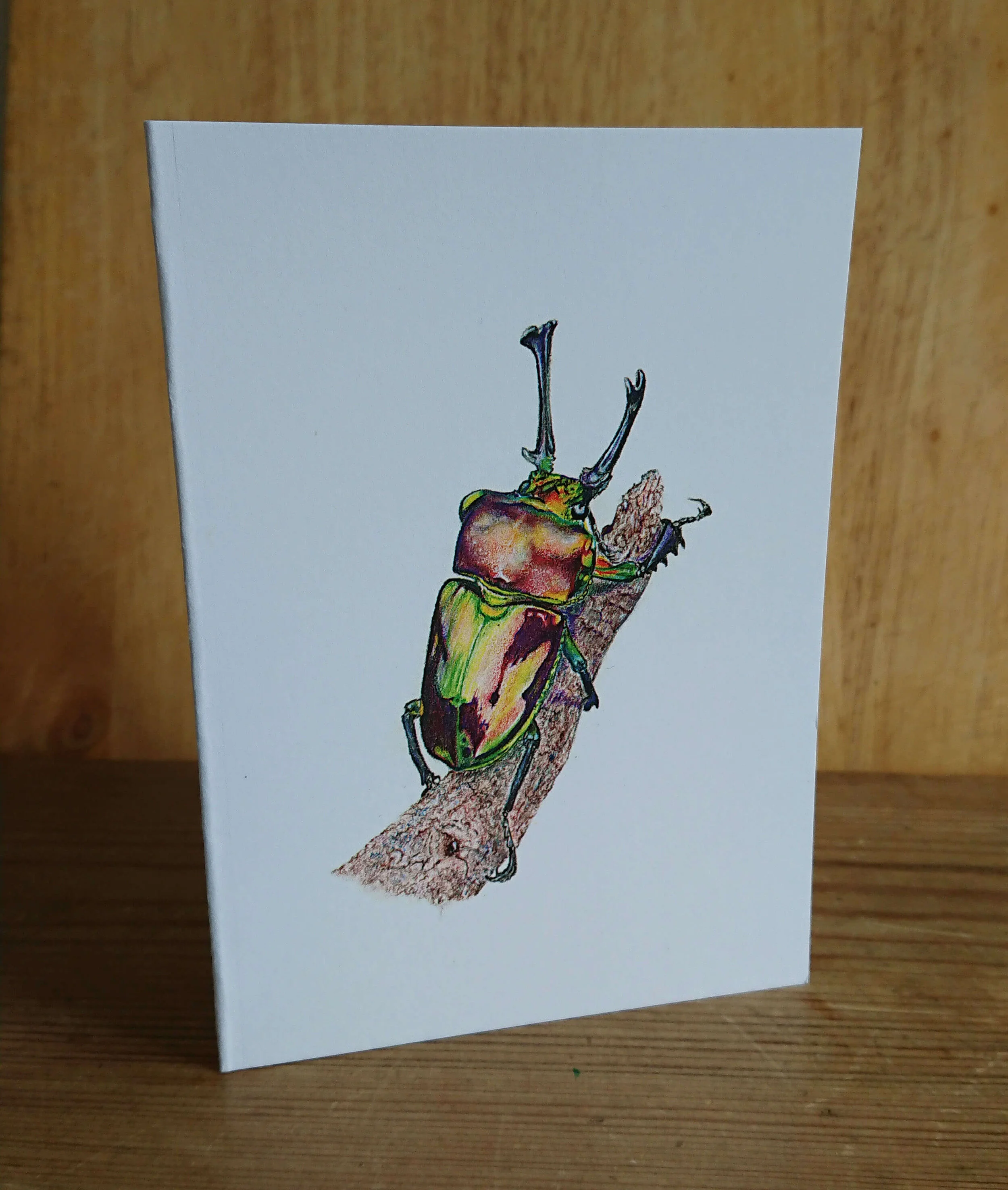 Stag beetle card front.jpg