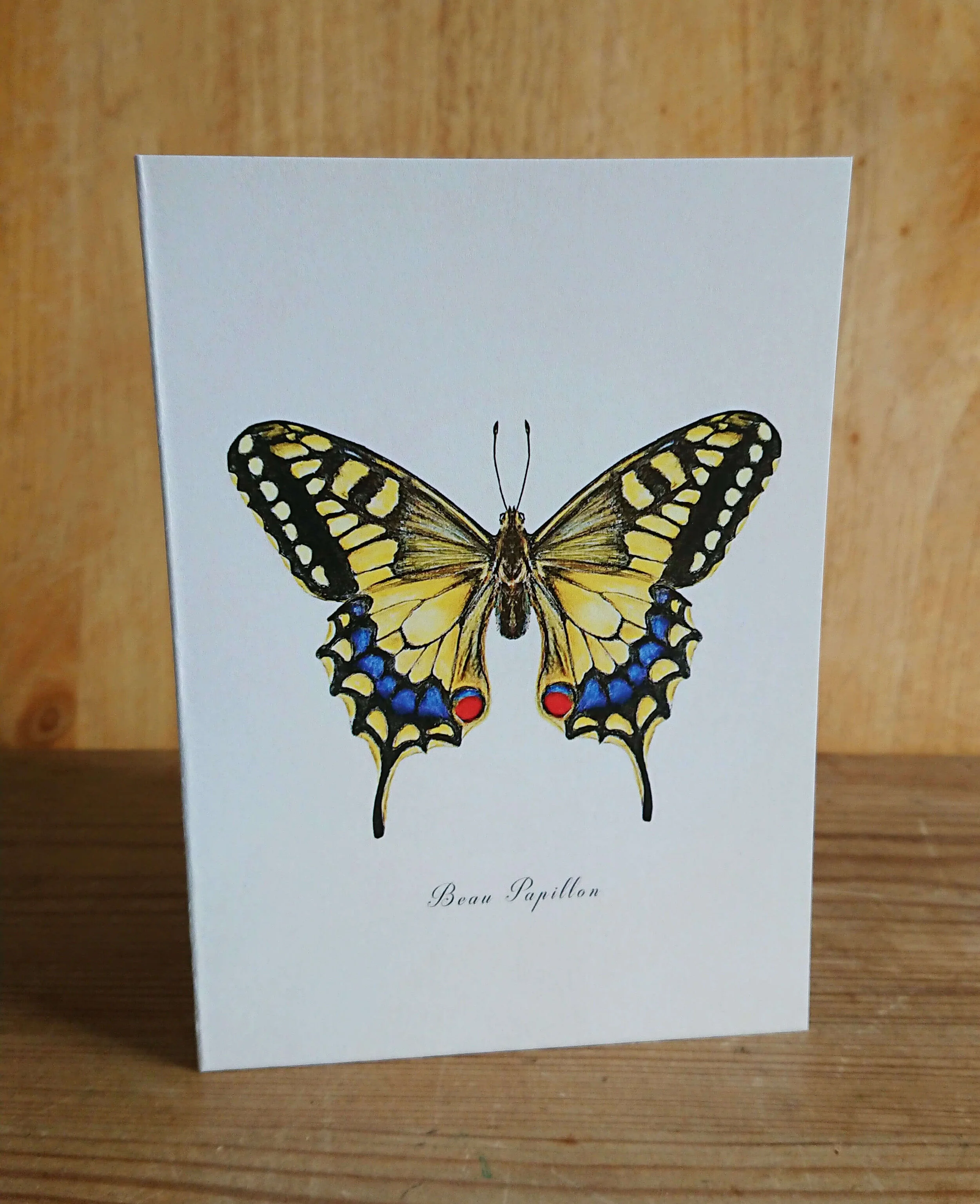 swallowtail card front.jpg