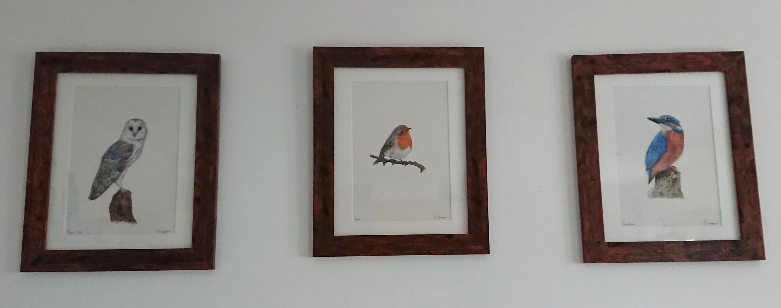 3 birds framed.jpg