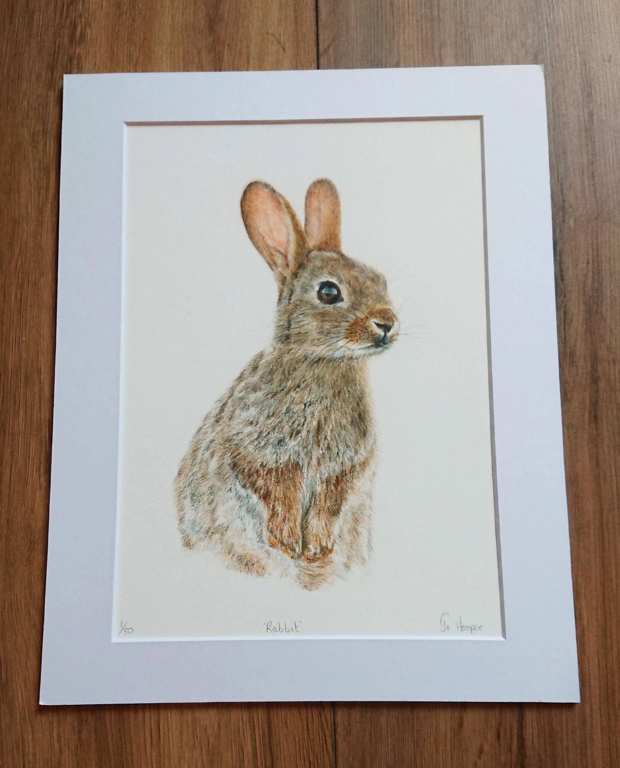 rabbit mounted.jpg