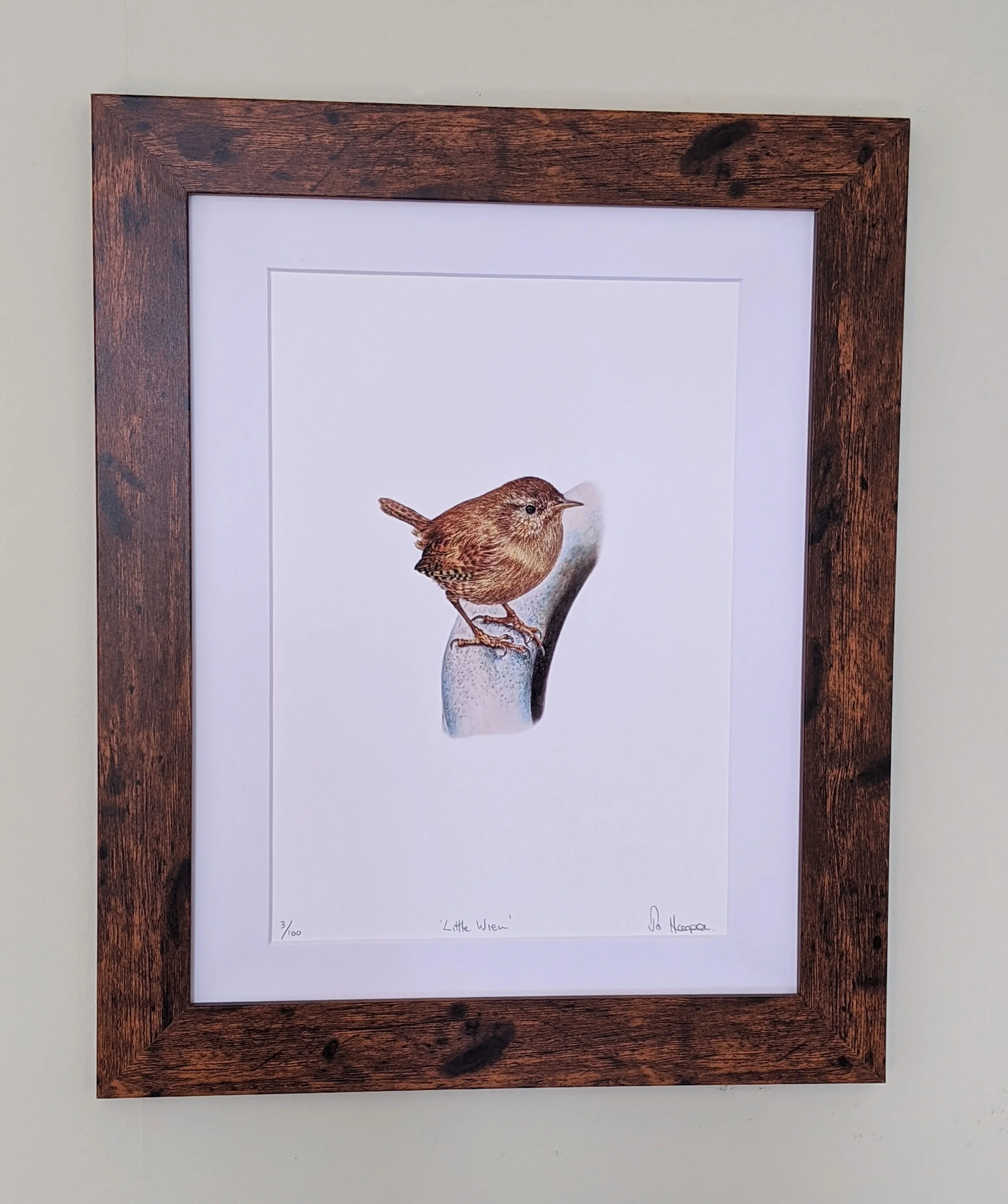 Wren framed.jpg