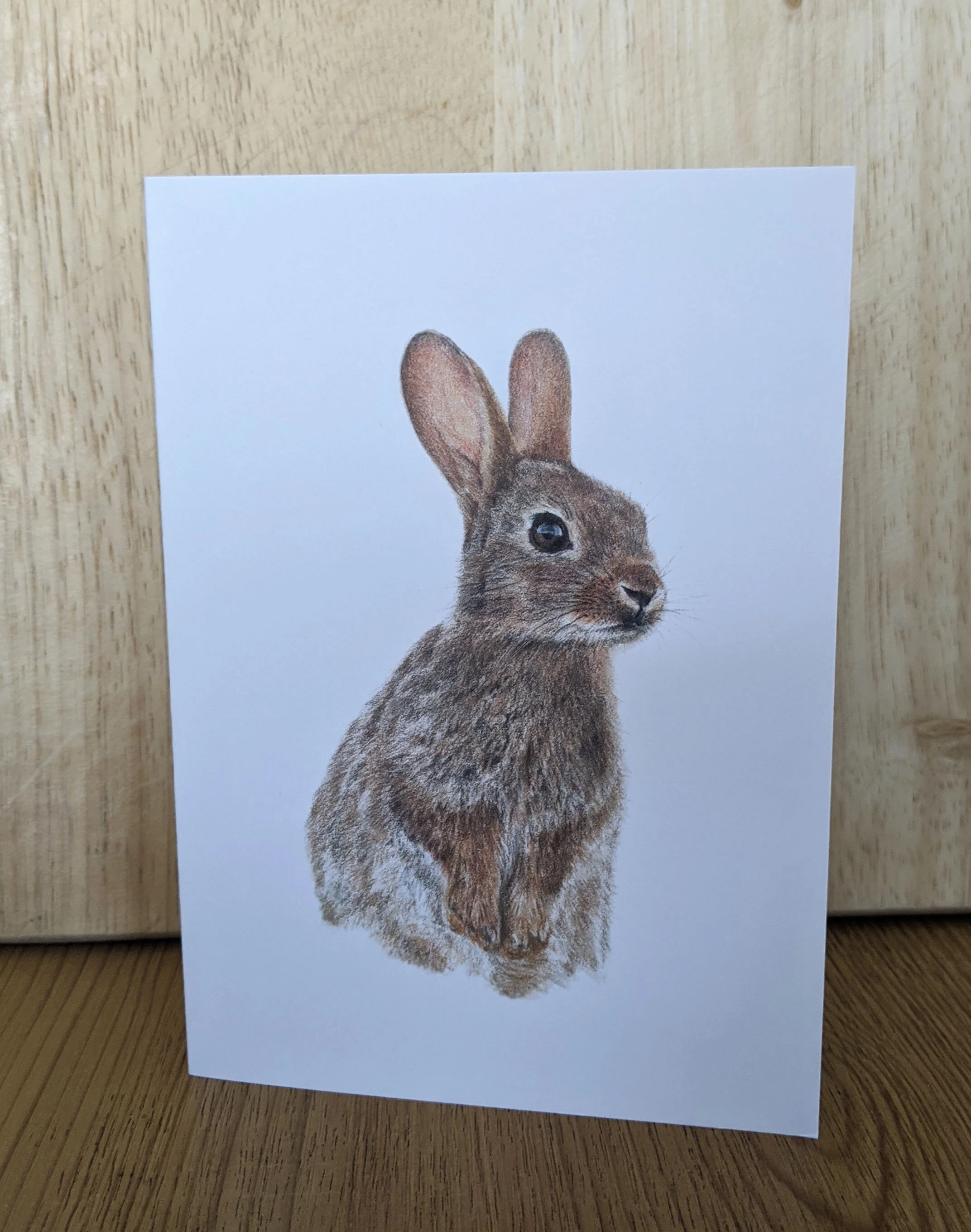 rabbit card.jpg