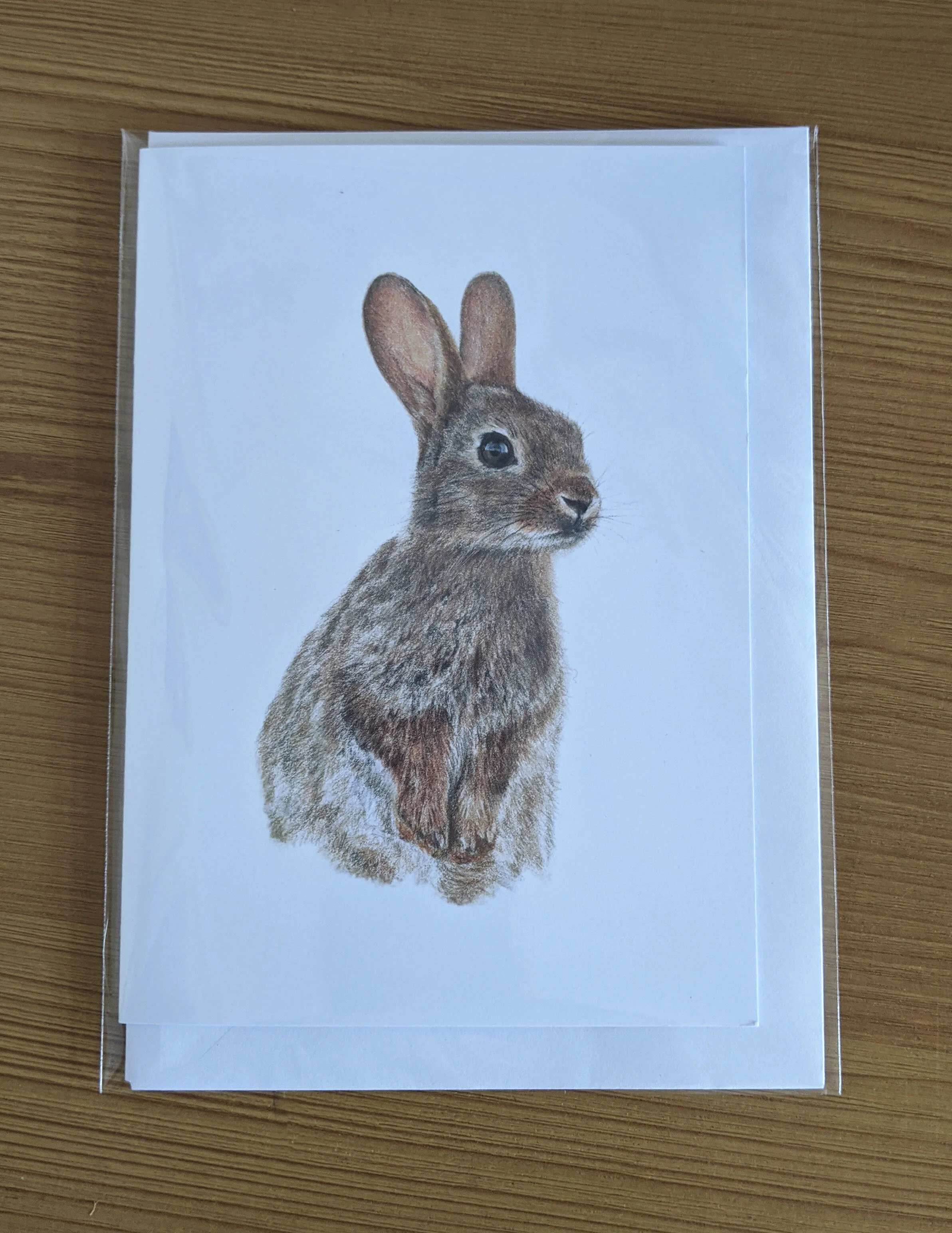 rabbit card 2.jpg