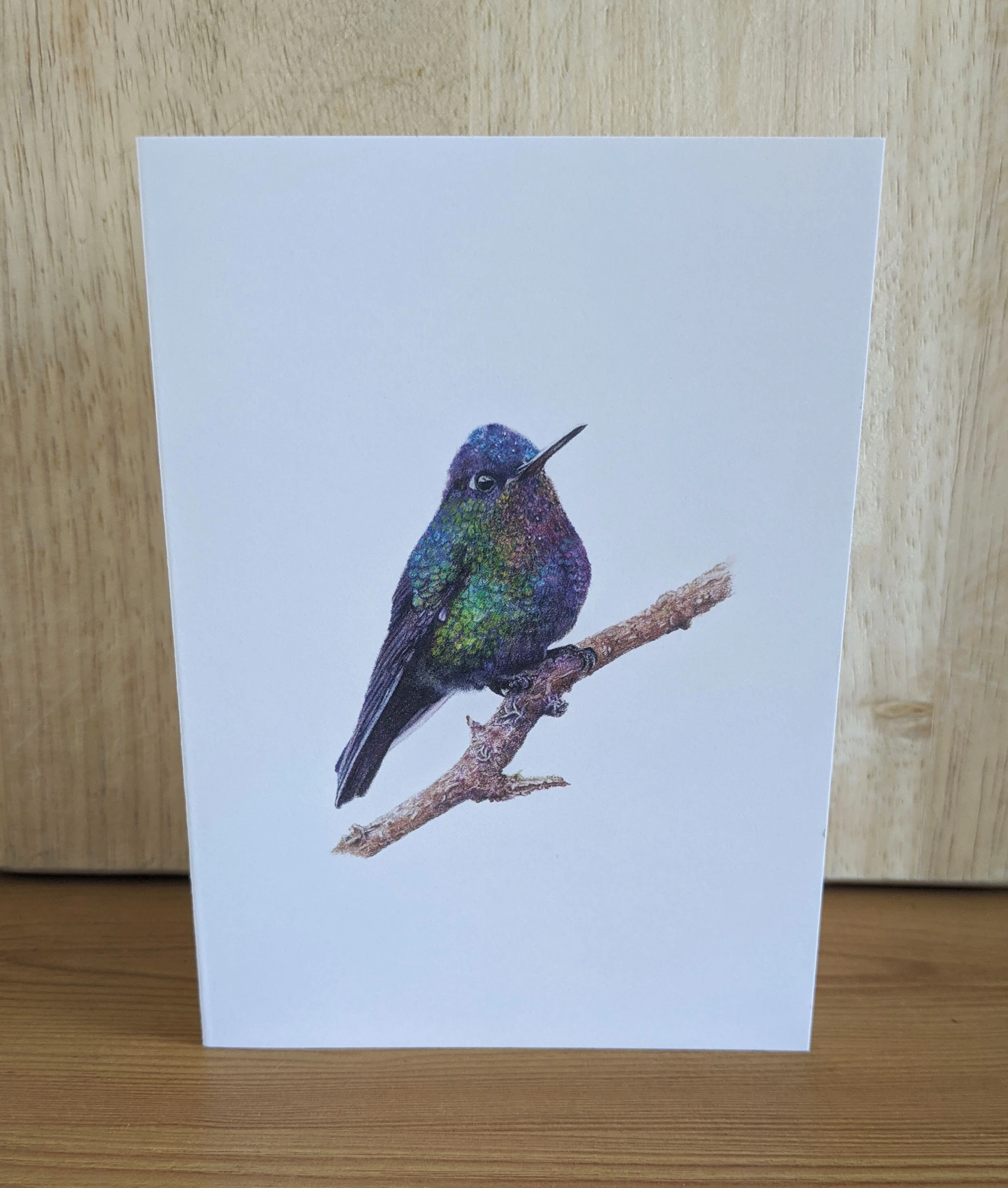 Fiery Throated Hummingbird 